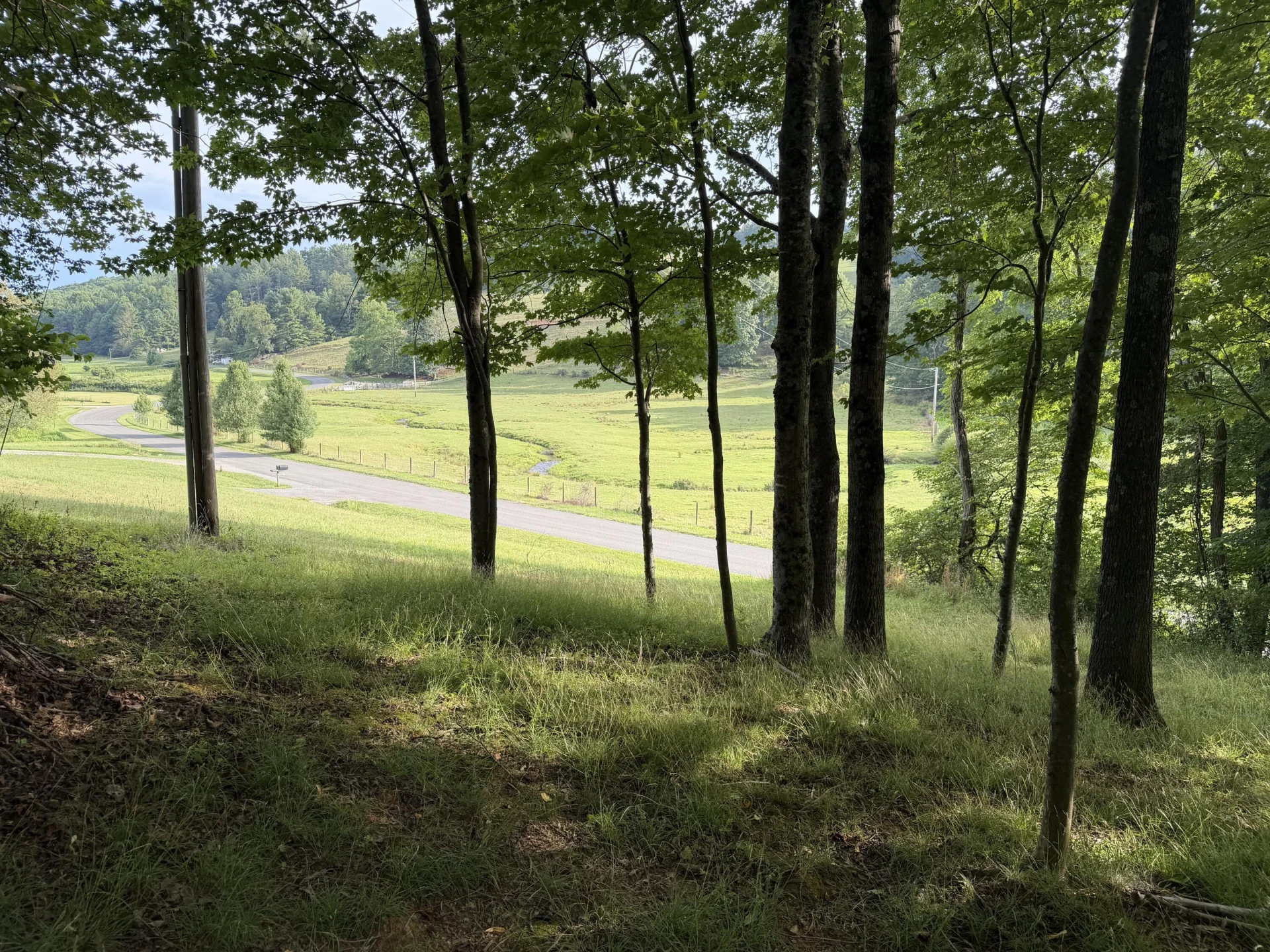 1501 Woods Gap RD SE - Photo 22