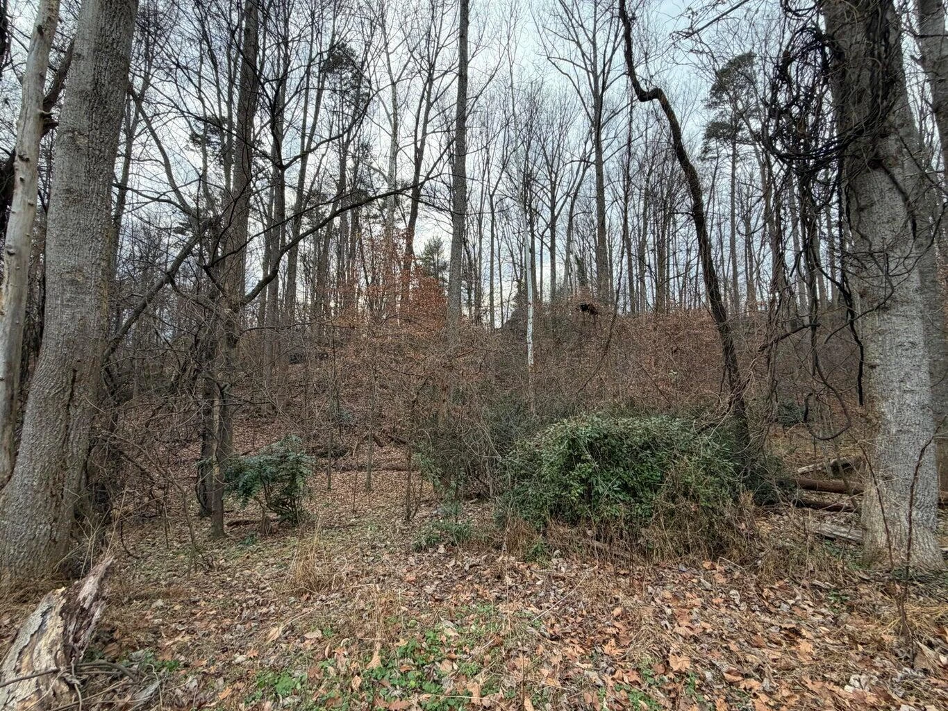 00 INDIAN TRL - Photo 9