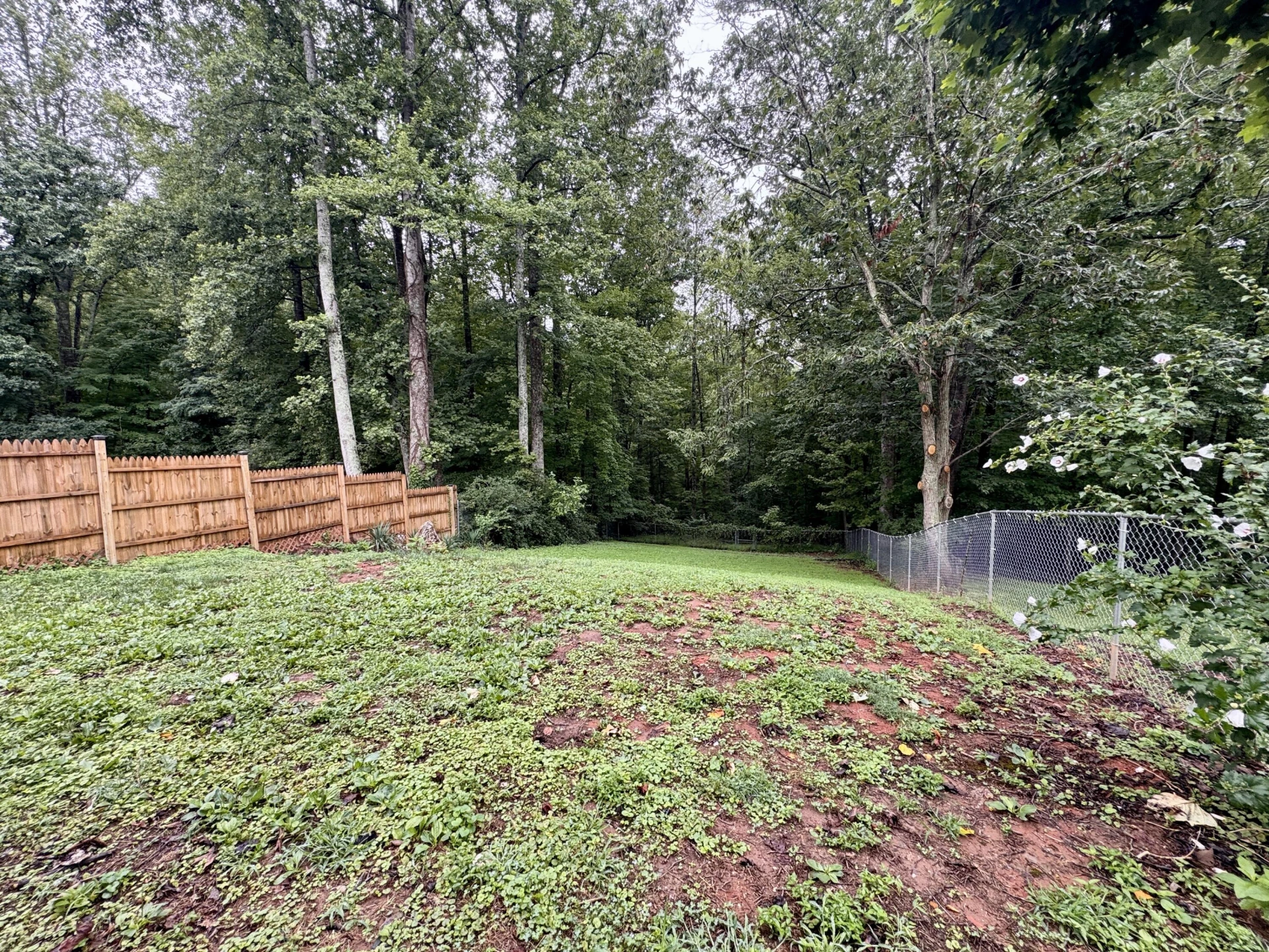 809 Banks RD - Photo 20