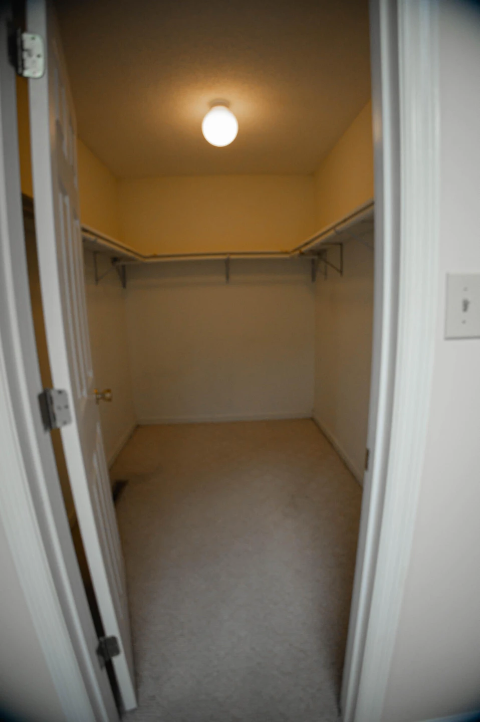6297 Alpine LN - Photo 18