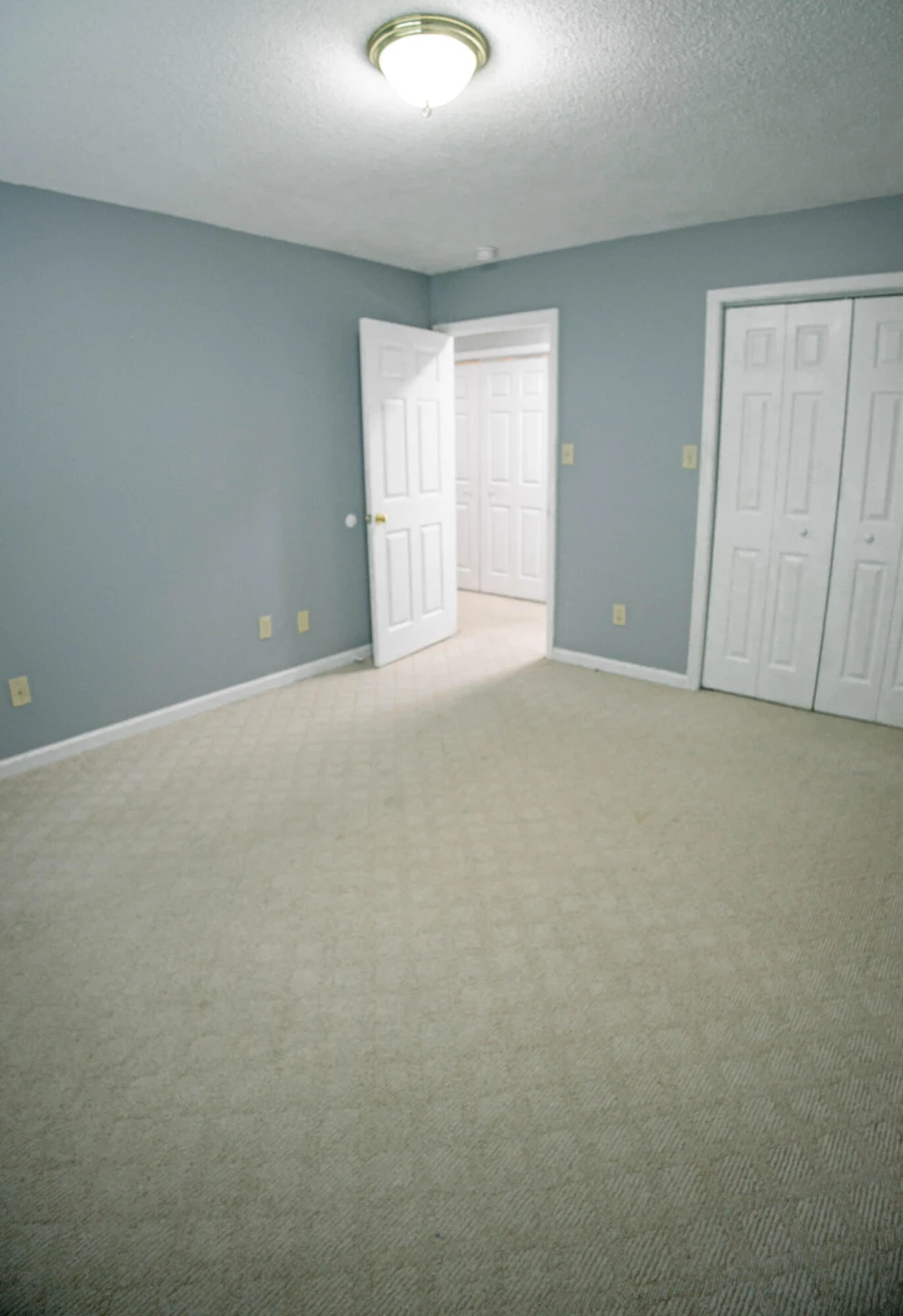 6297 Alpine LN - Photo 5