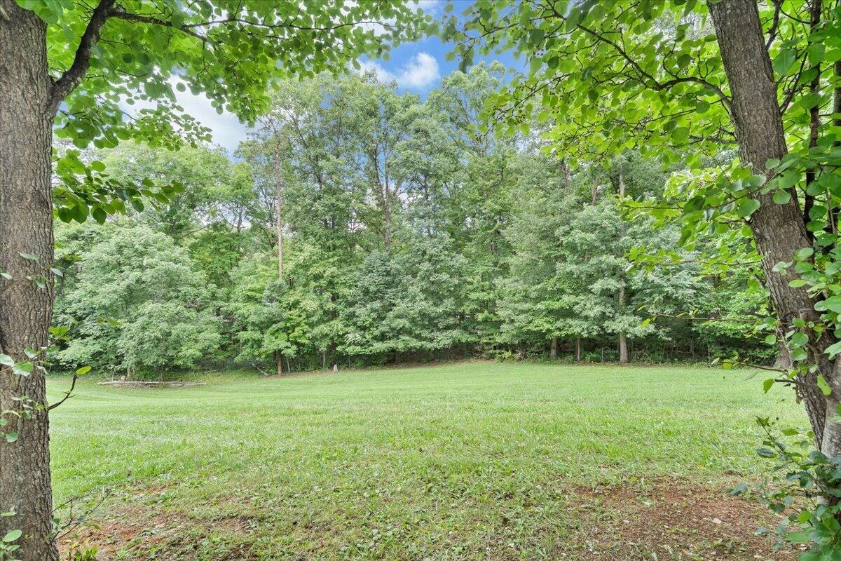 3314 Blue Ridge BLVD - Photo 43