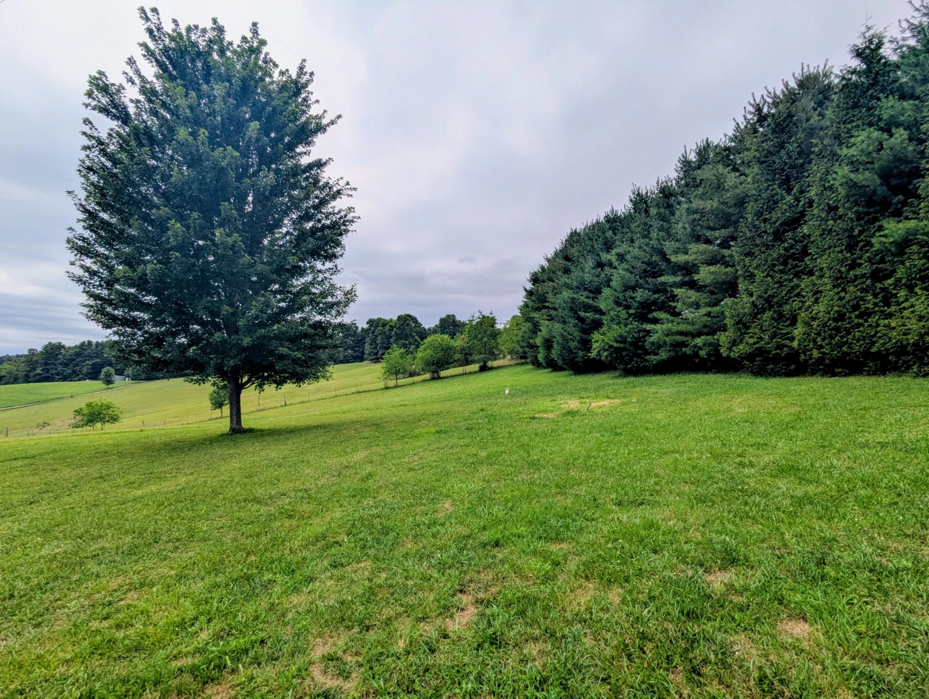 213 Smith Farm RD NE - Photo 33