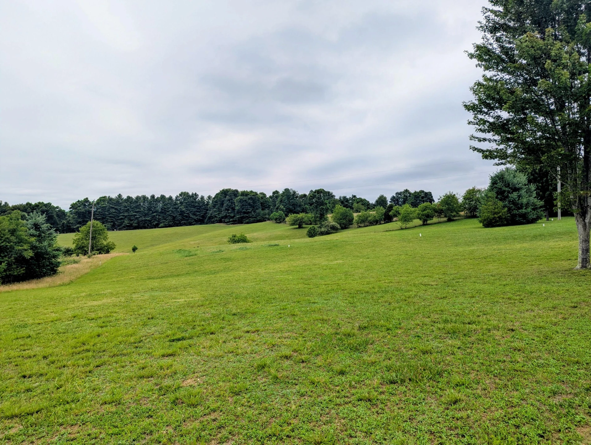213 Smith Farm RD NE - Photo 4