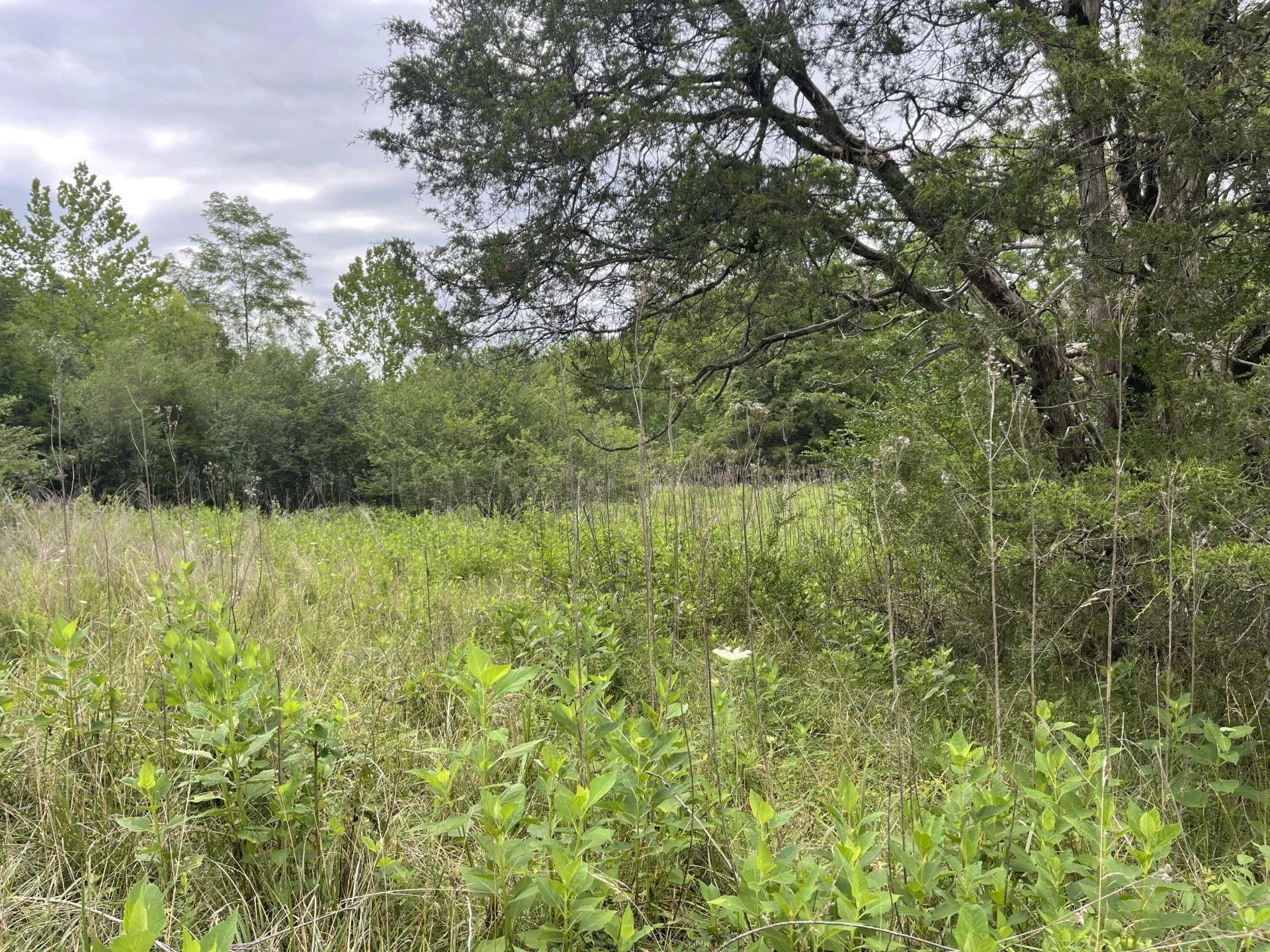 0 Moneta RD - Photo 3