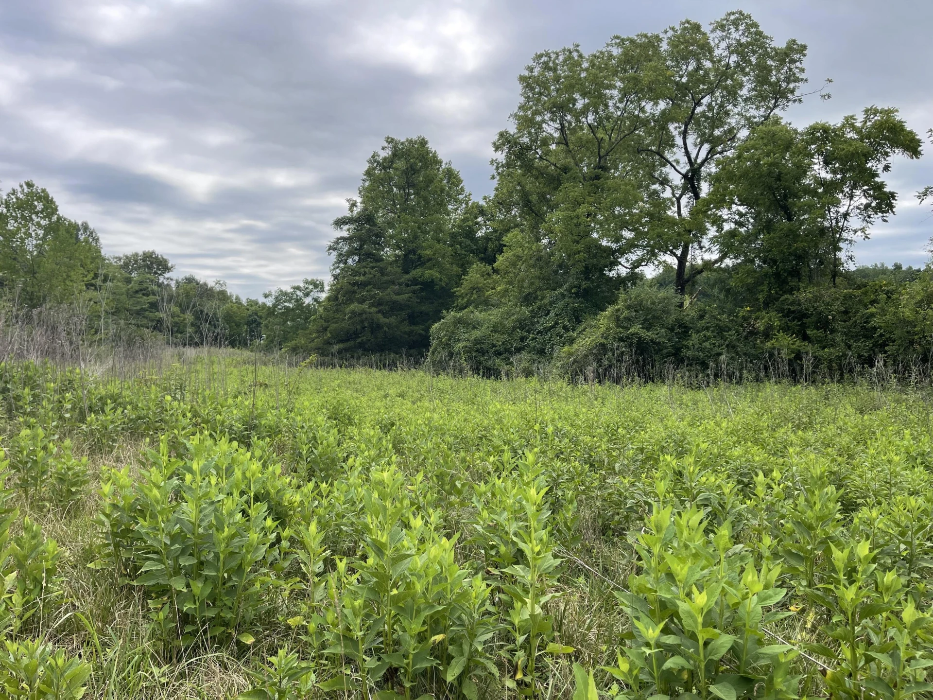 0 Moneta RD - Photo 4