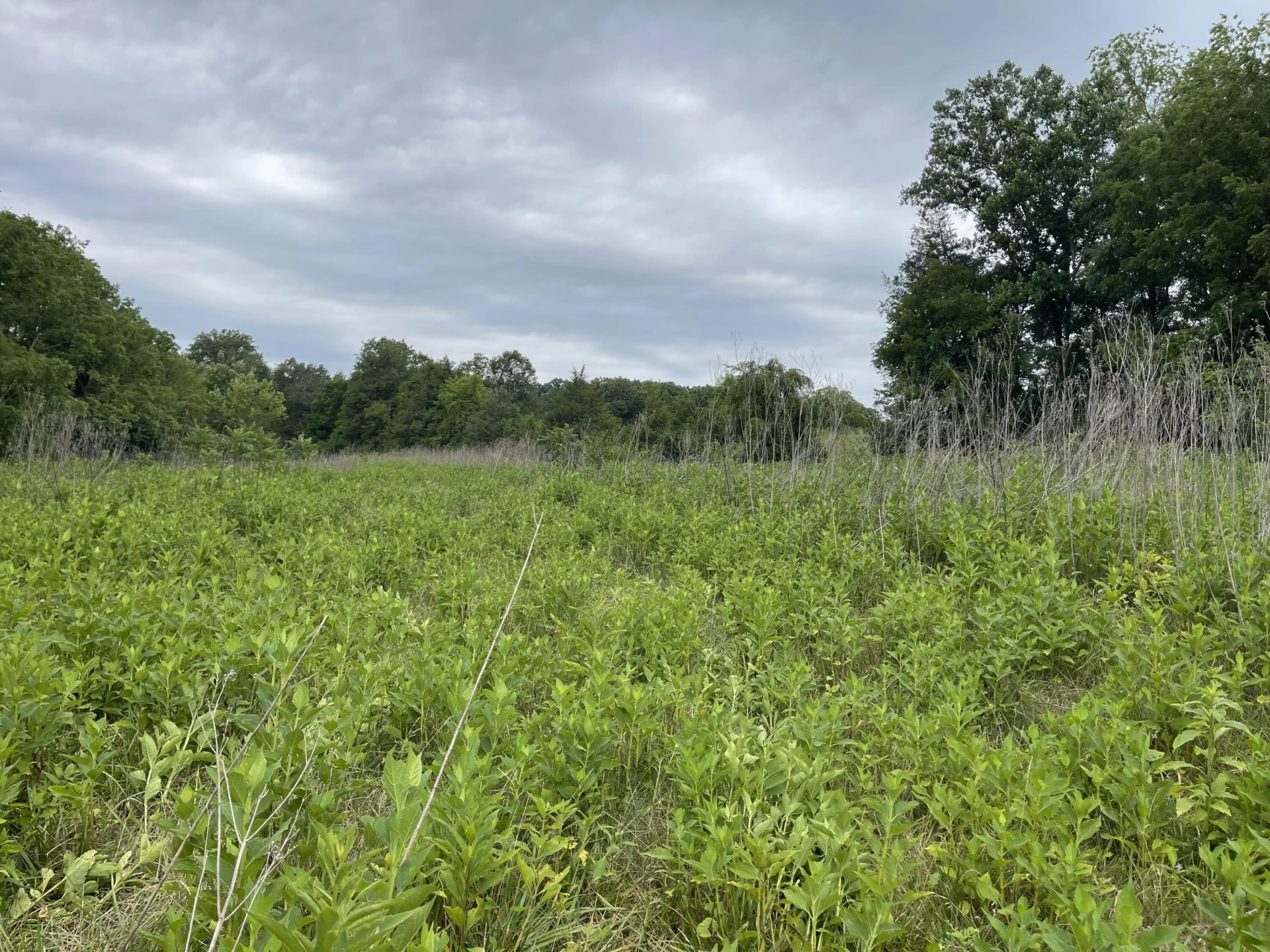 0 Moneta RD - Photo 5