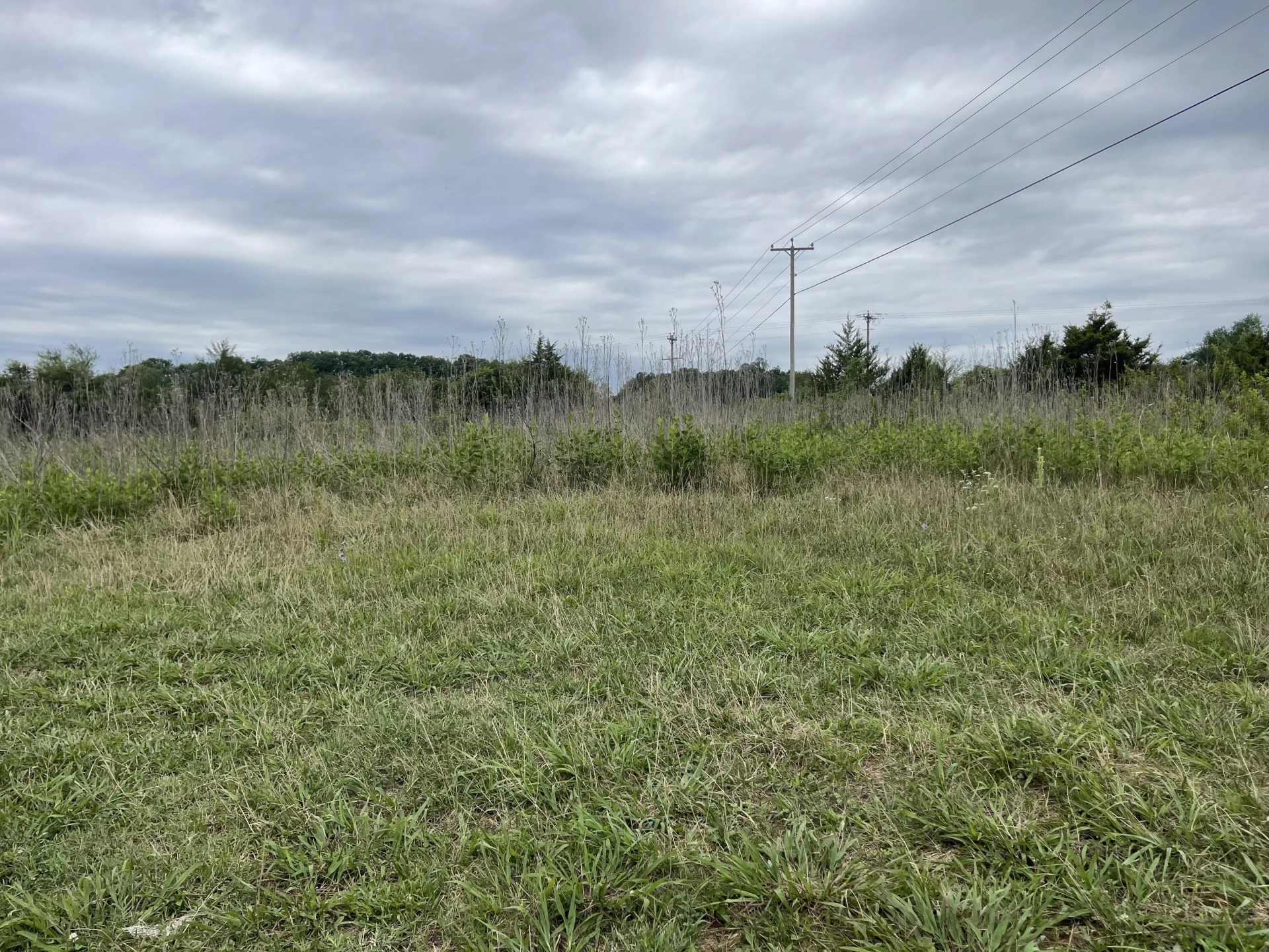 0 Moneta RD - Photo 6