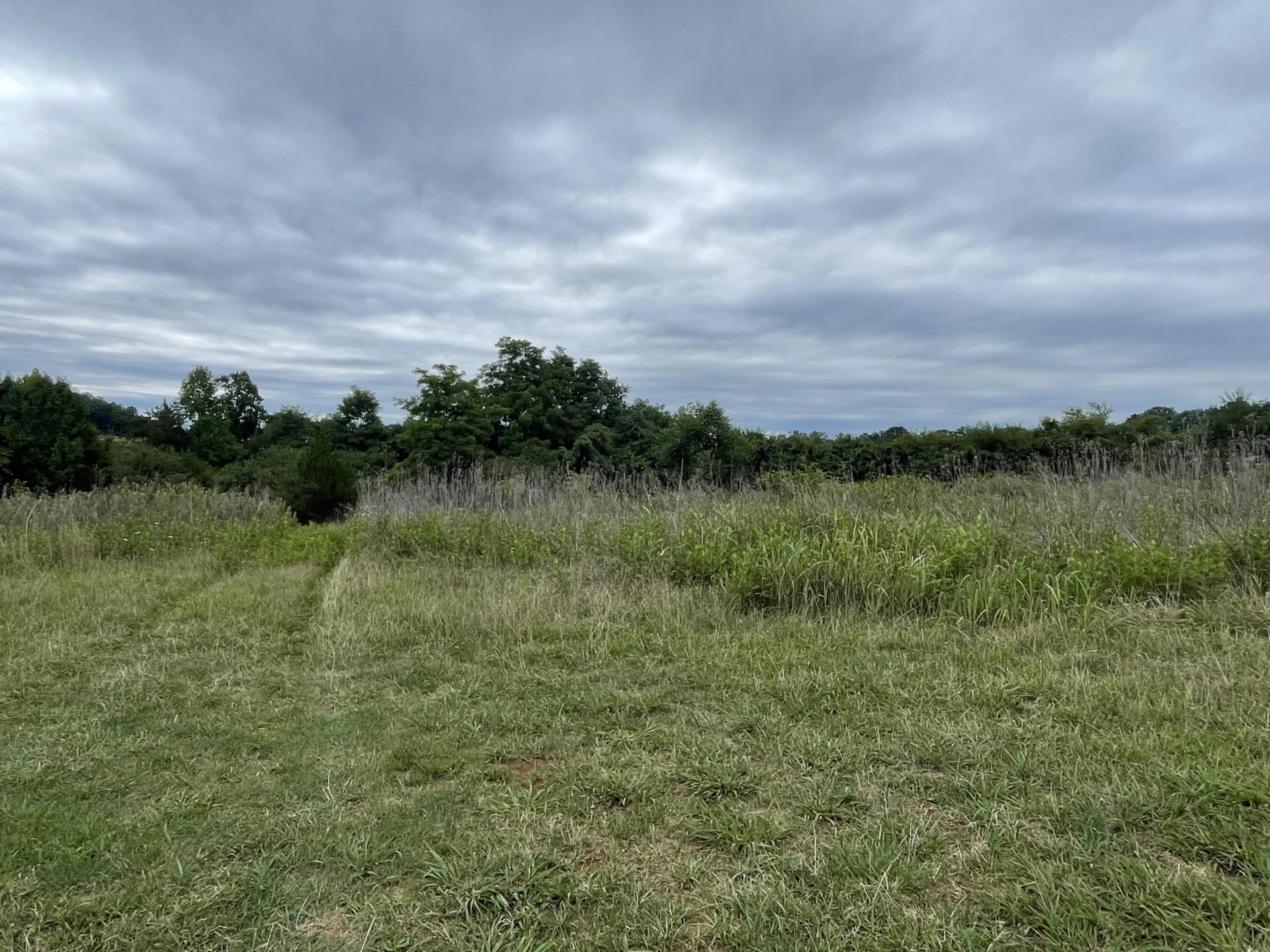 0 Moneta RD - Photo 7