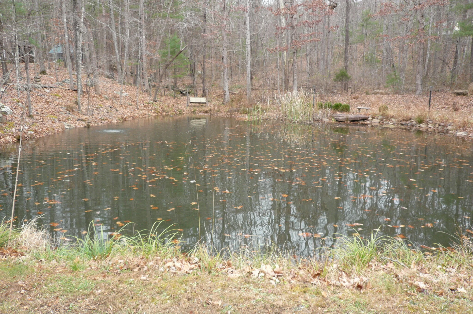 102 Hickory LN - Photo 5