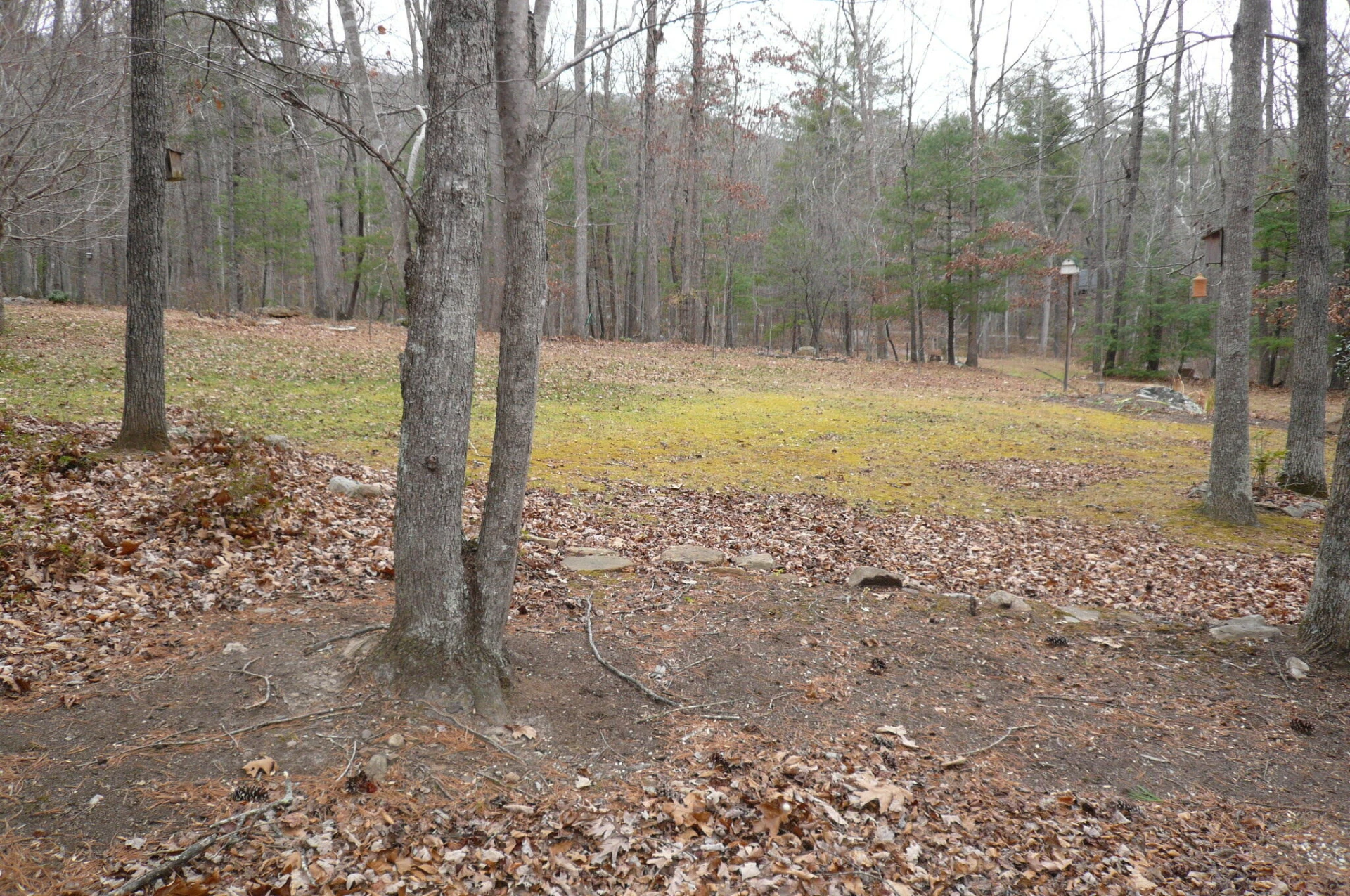 102 Hickory LN - Photo 6