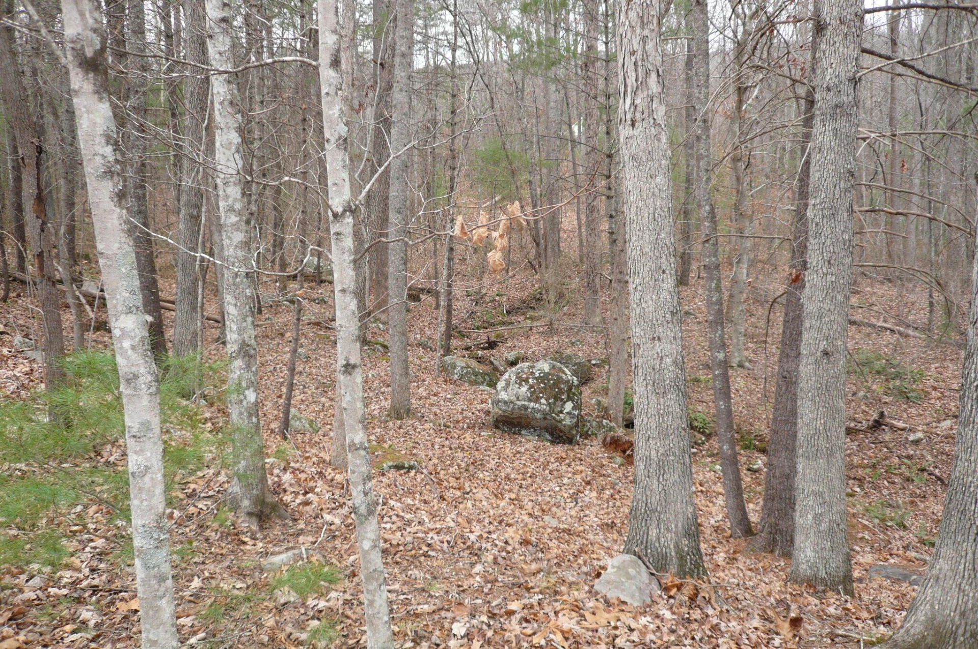 102 Hickory LN - Photo 10