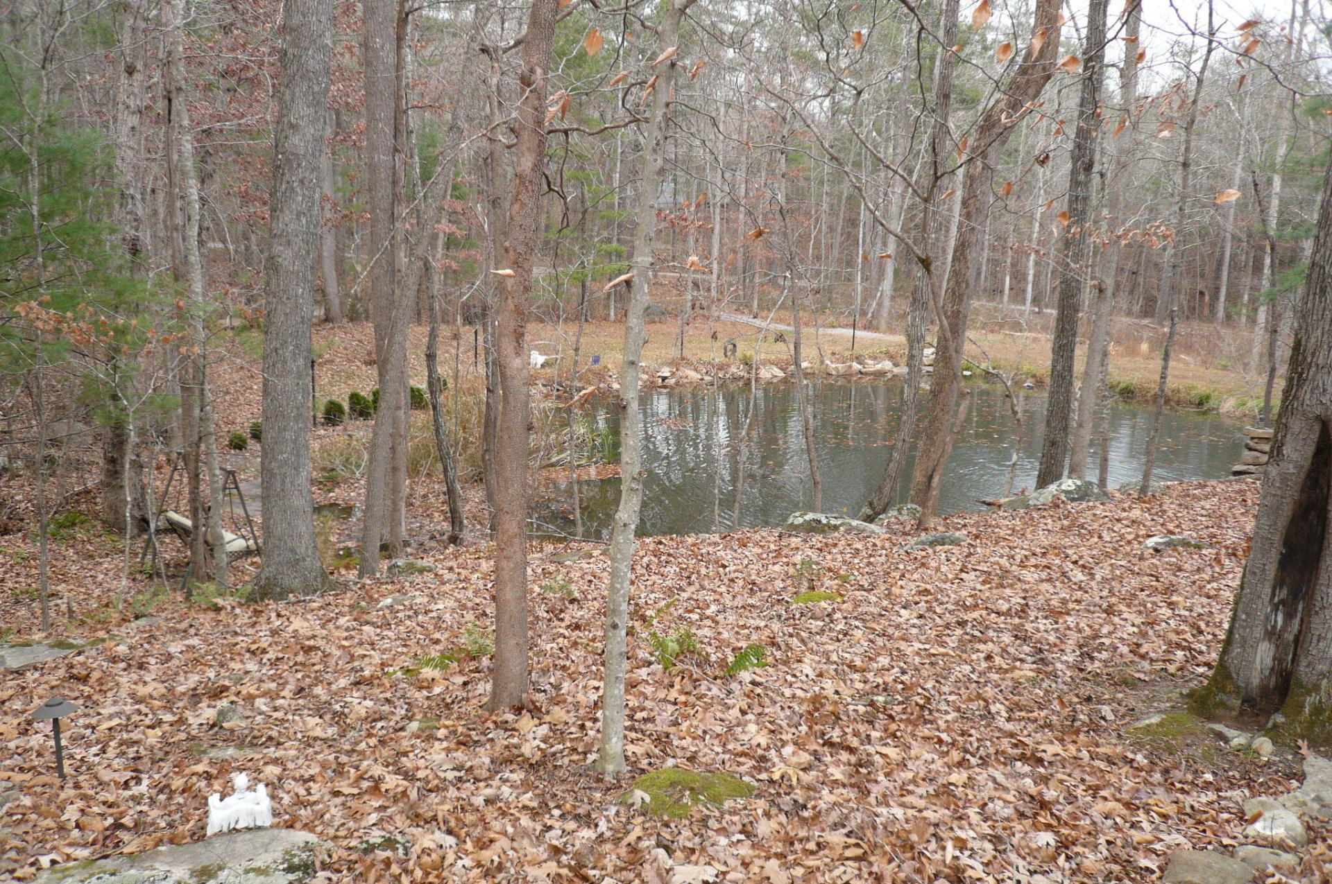 102 Hickory LN - Photo 11