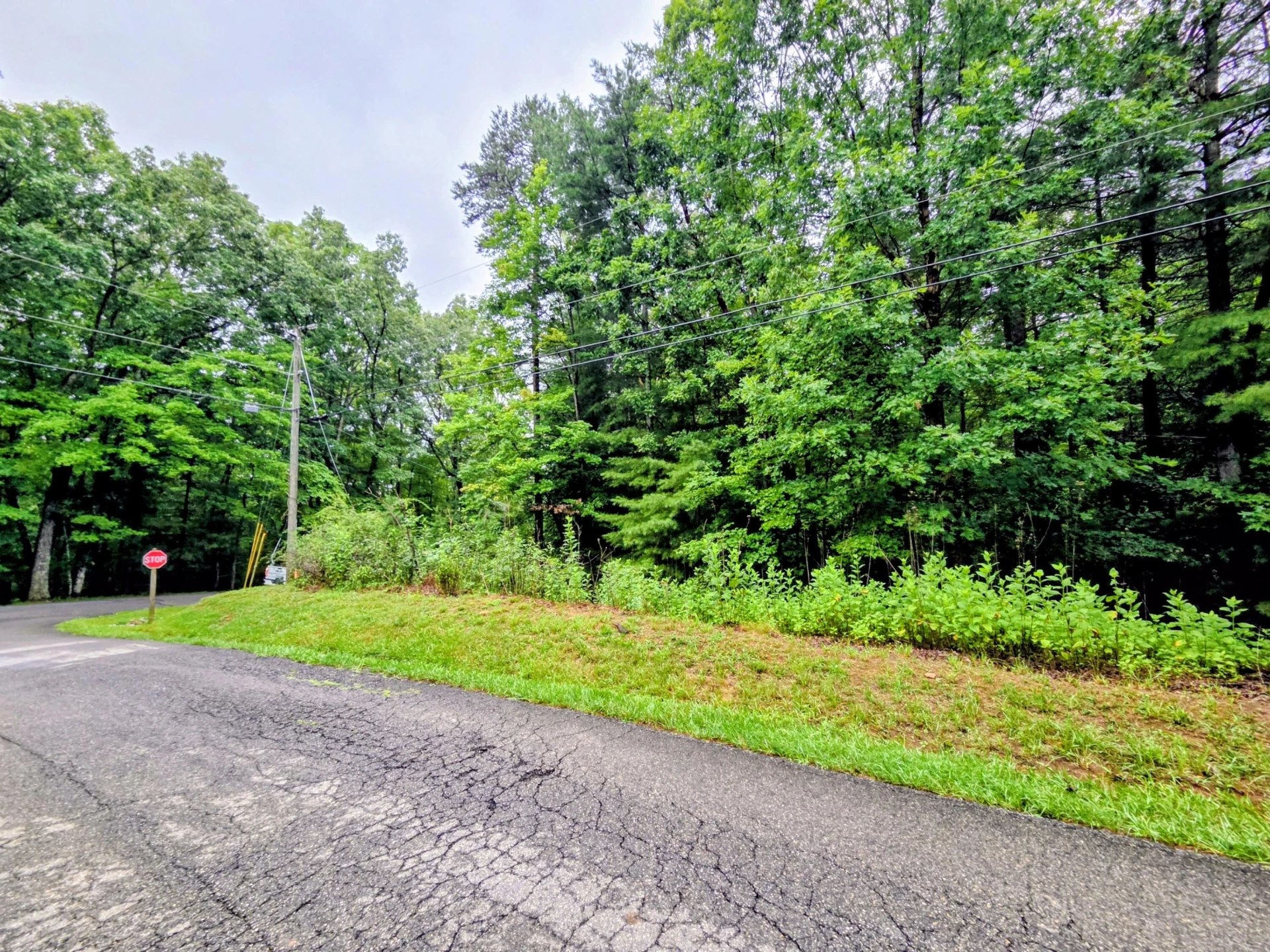 Lot 25 Gap Bridge RD - Photo 3
