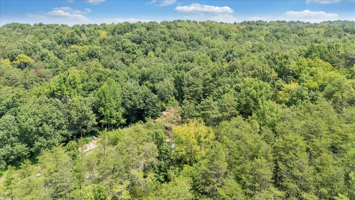 615 Muse RD - Photo 62