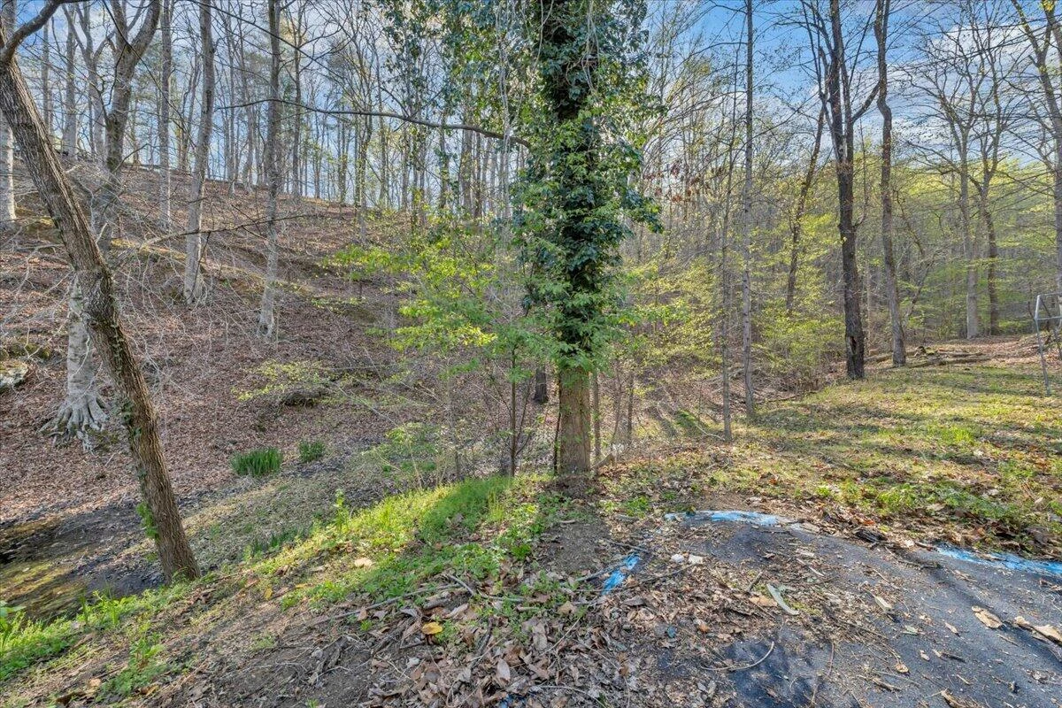 1065 Cain DR - Photo 71