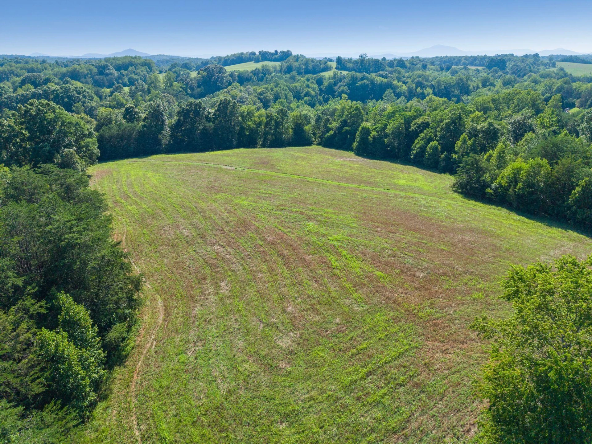 2354 Three Oaks RD - Photo 6