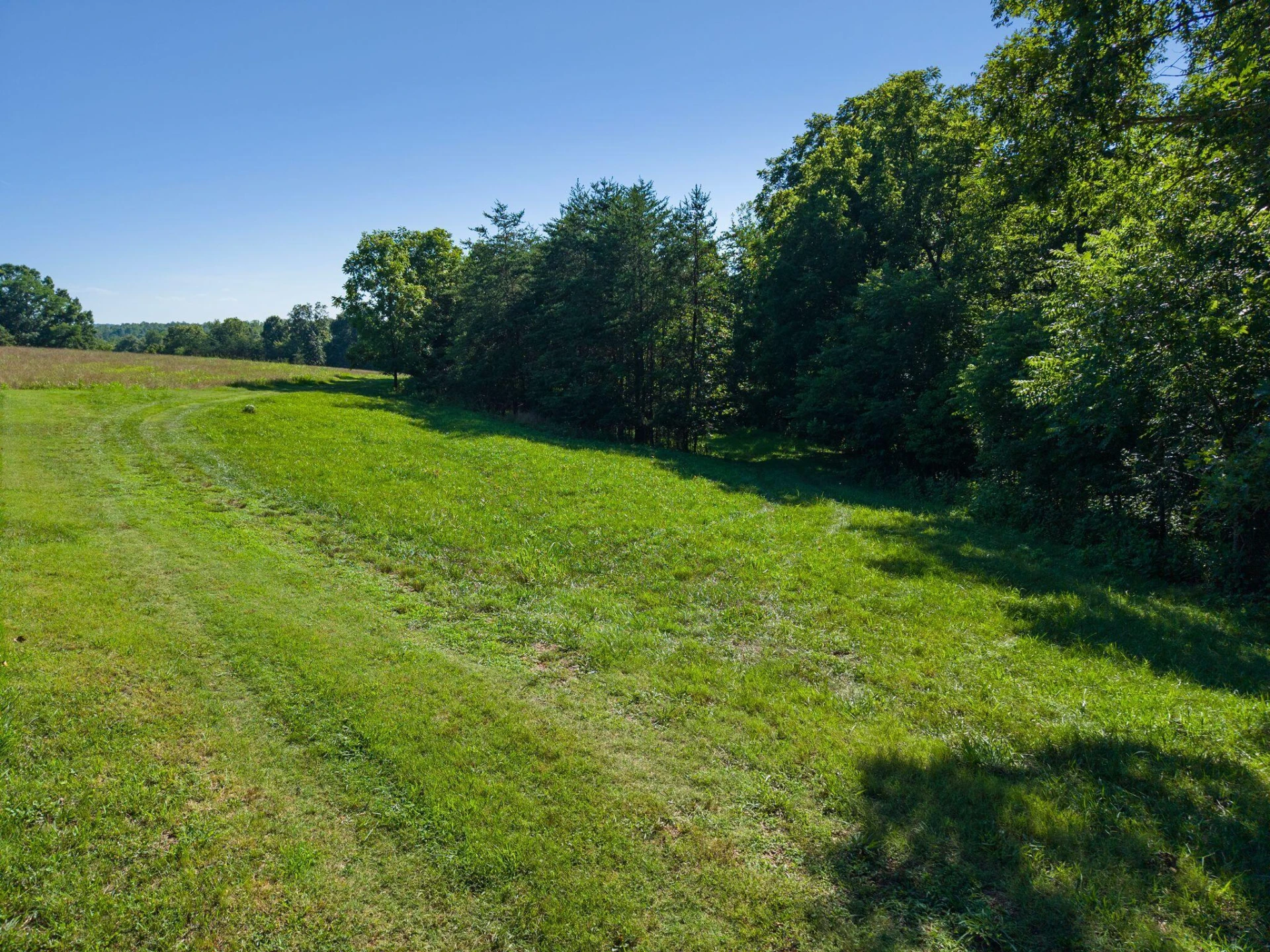 2354 Three Oaks RD - Photo 13