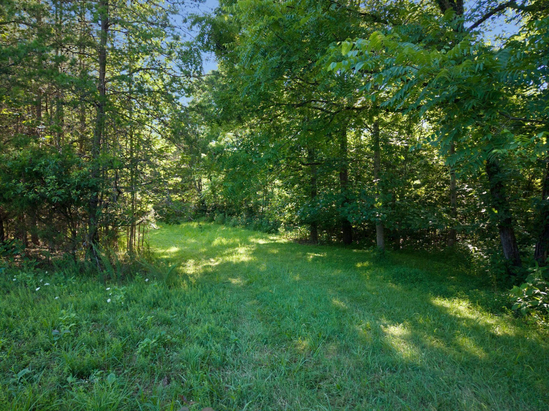 2354 Three Oaks RD - Photo 14