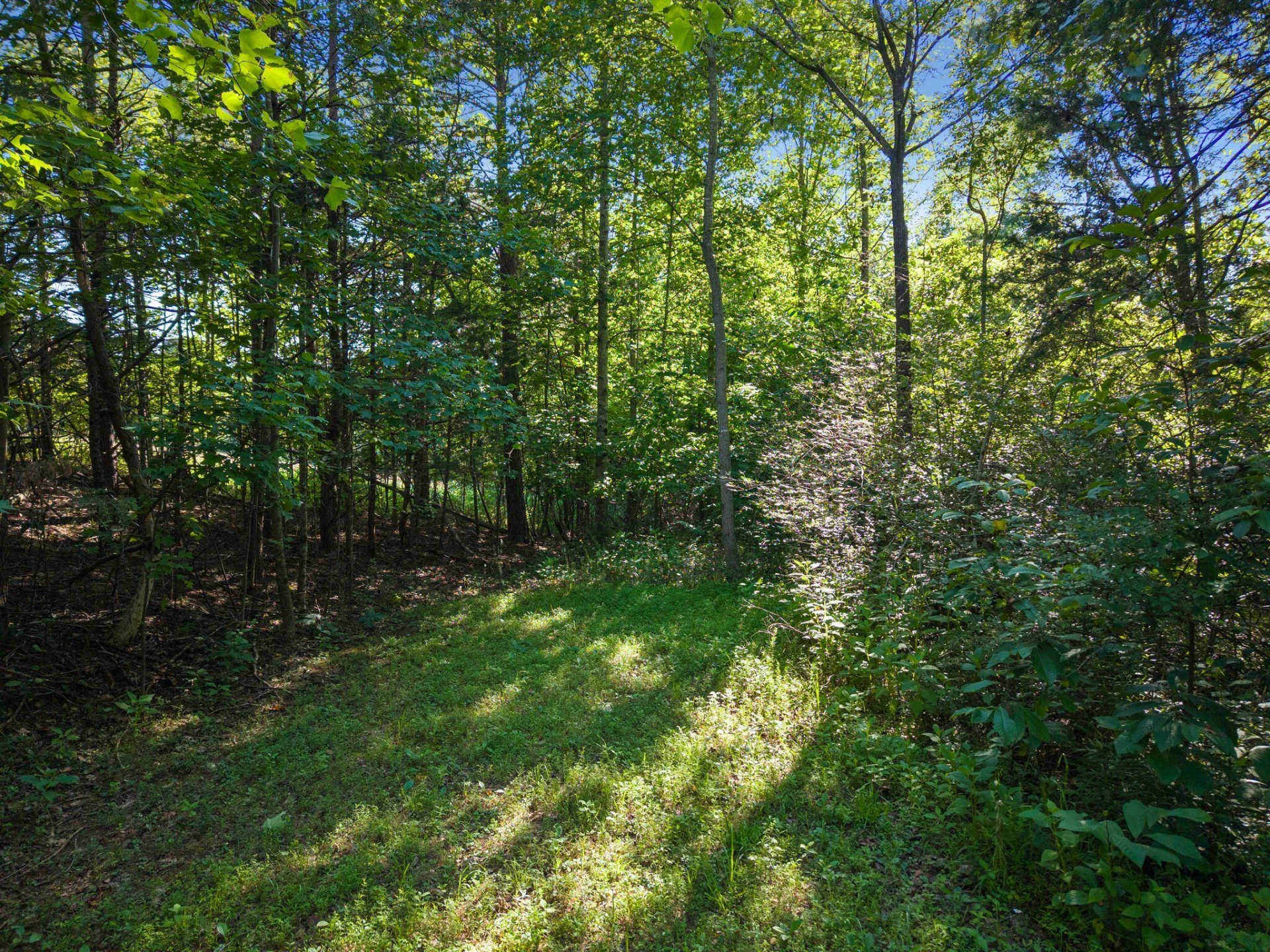 2354 Three Oaks RD - Photo 15