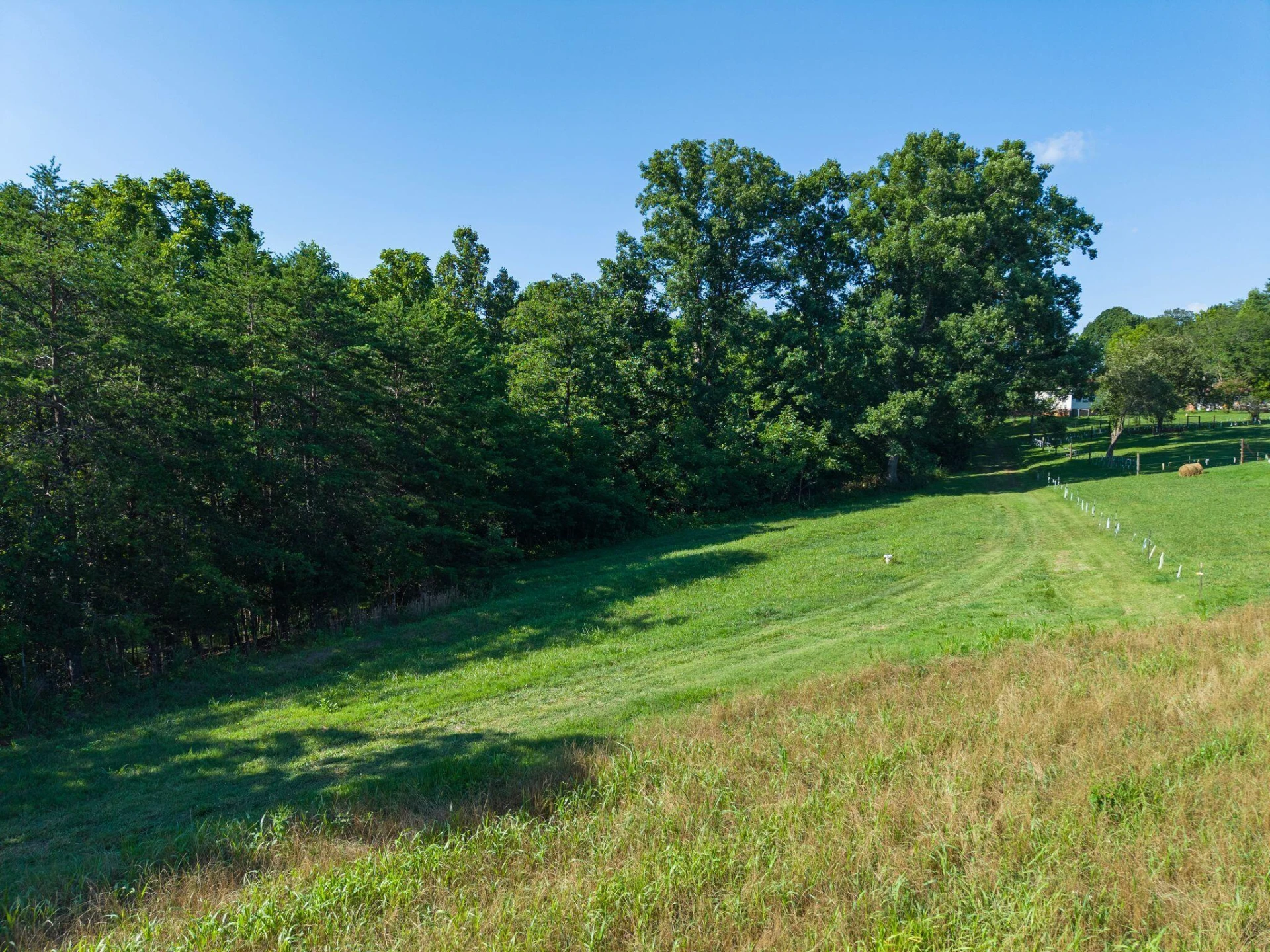 2354 Three Oaks RD - Photo 16