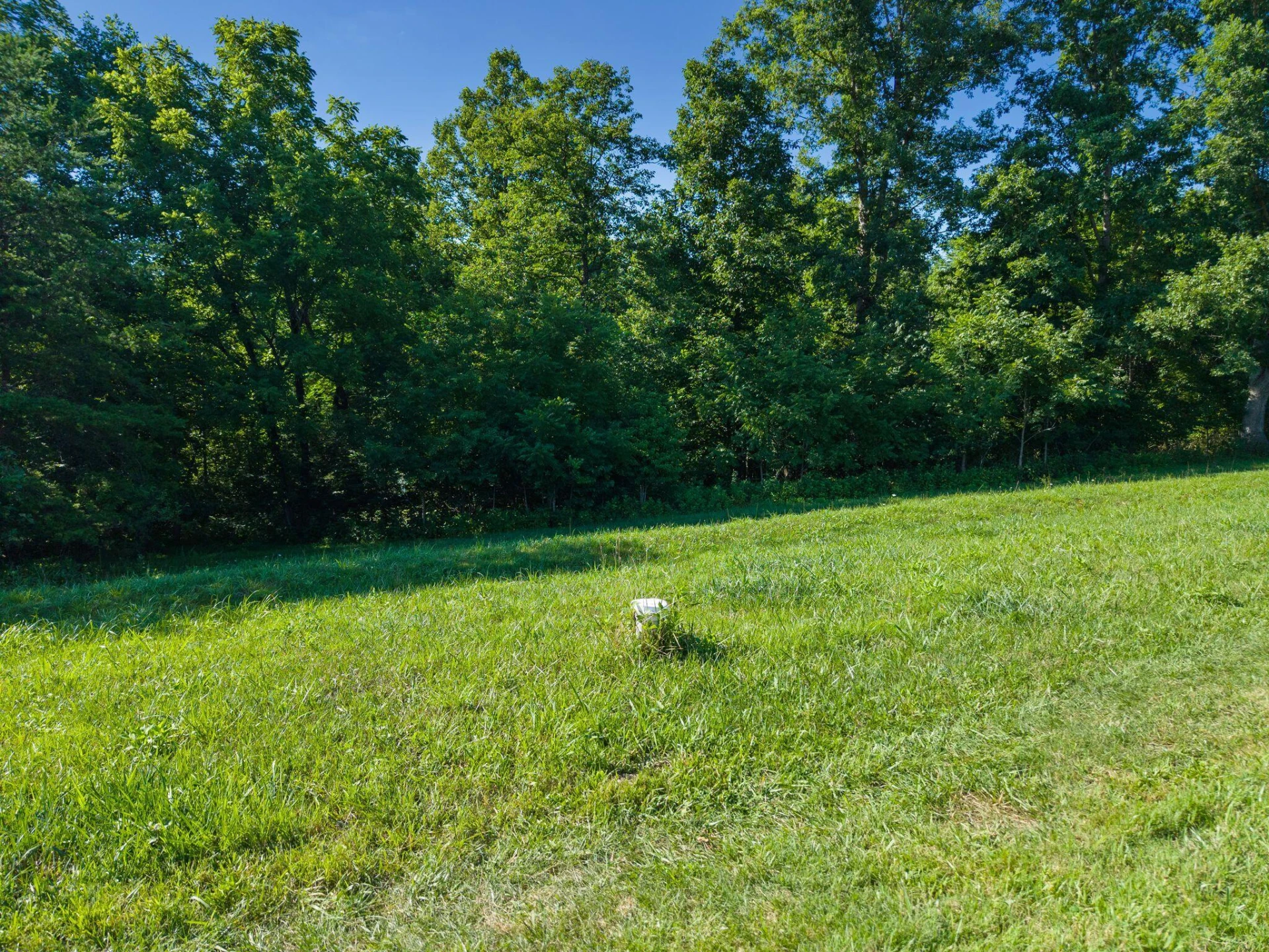 2354 Three Oaks RD - Photo 17