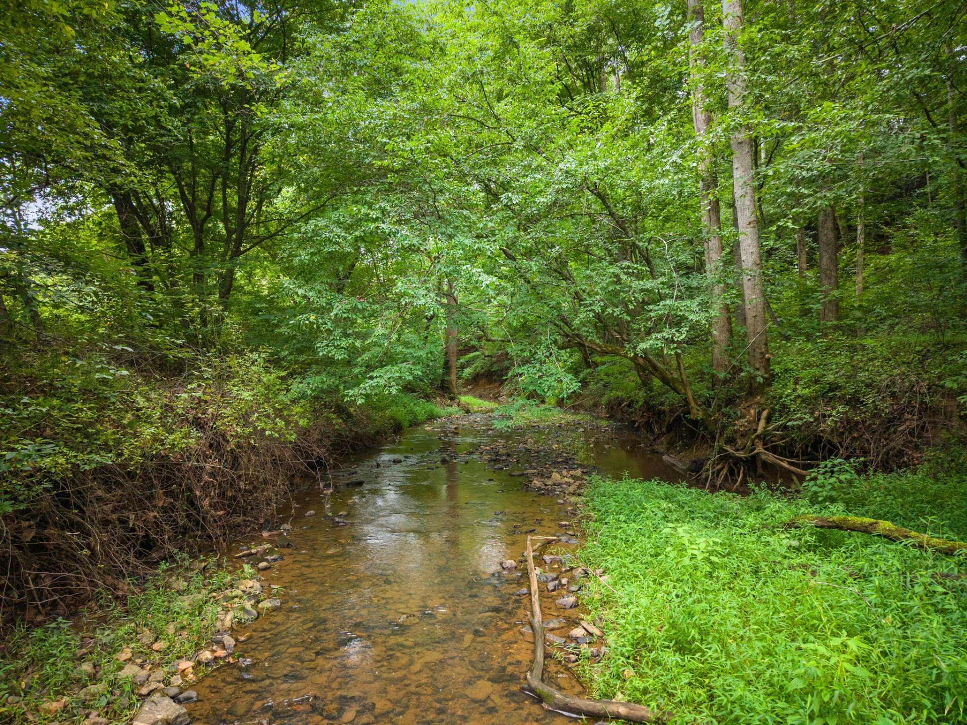 2354 Three Oaks RD - Photo 25