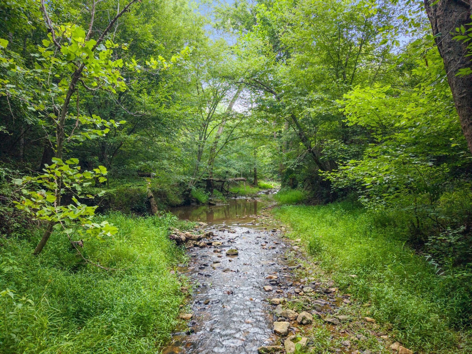 2354 Three Oaks RD - Photo 26