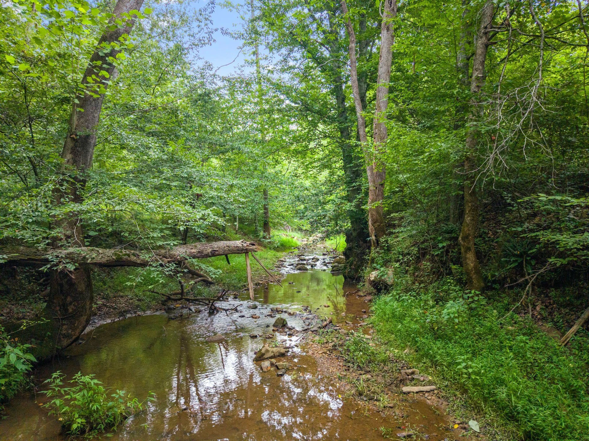 2354 Three Oaks RD - Photo 27