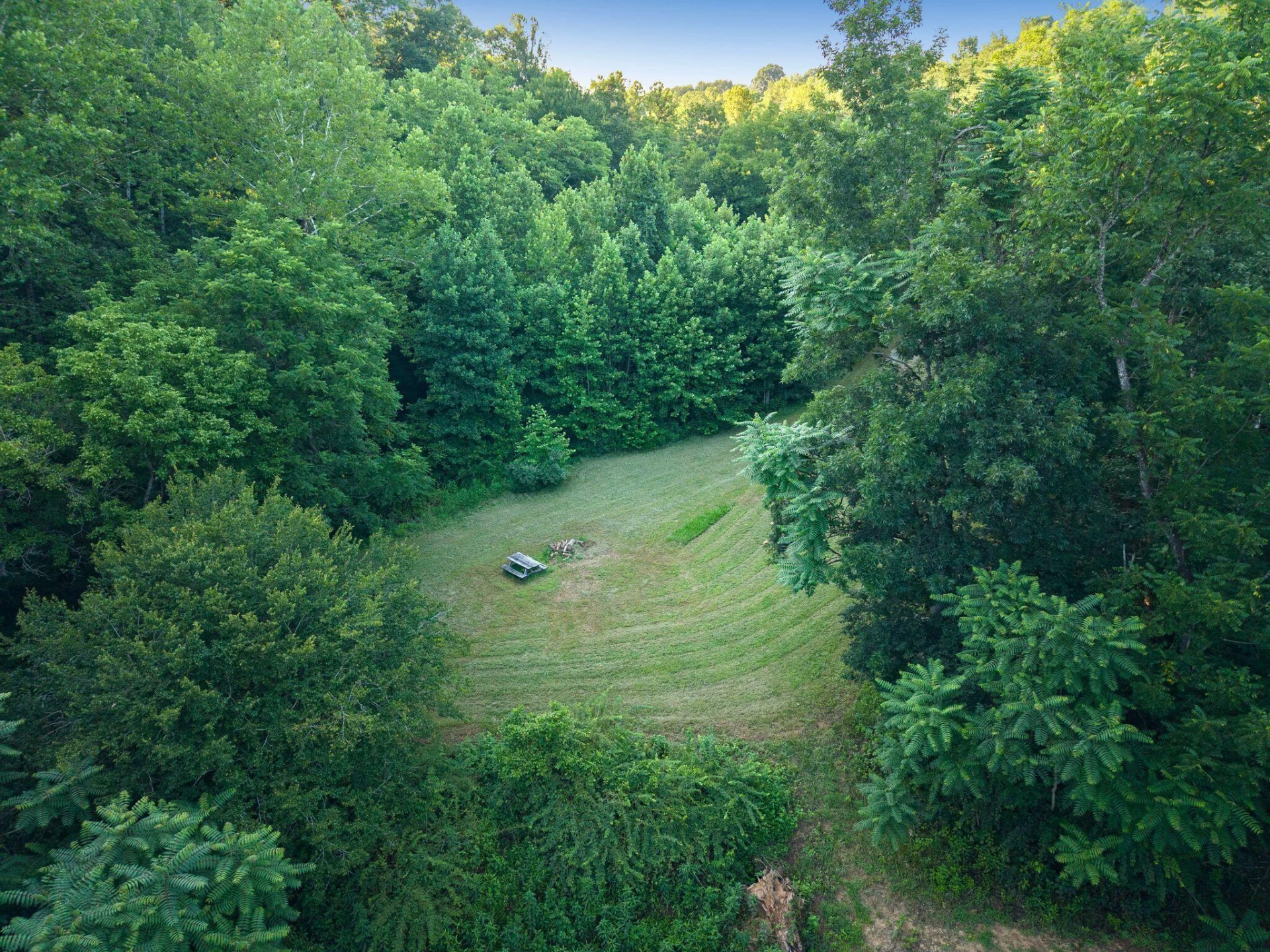 2354 Three Oaks RD - Photo 29