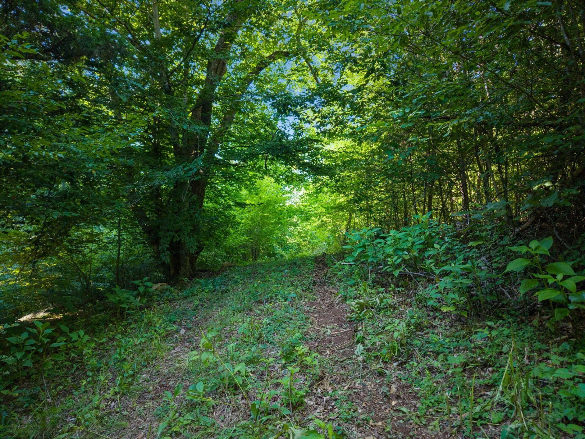 2354 Three Oaks RD - Photo 7