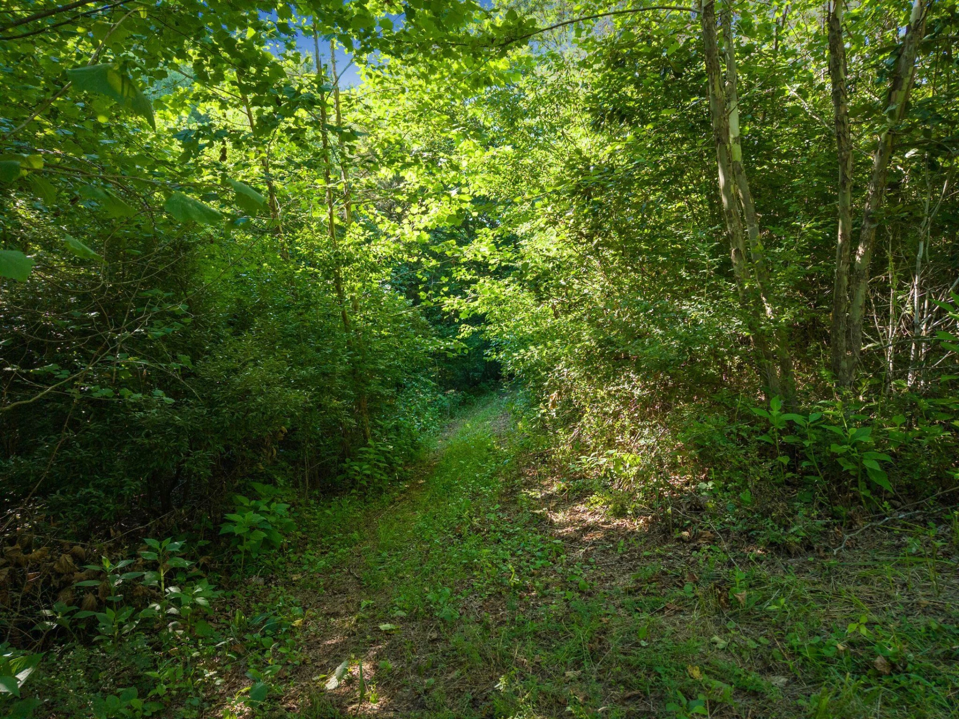2354 Three Oaks RD - Photo 33