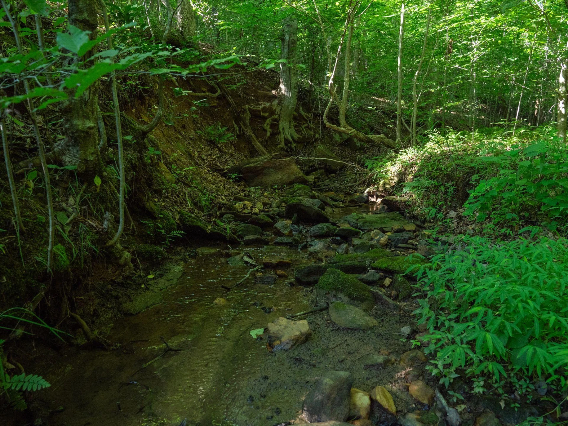 2354 Three Oaks RD - Photo 34