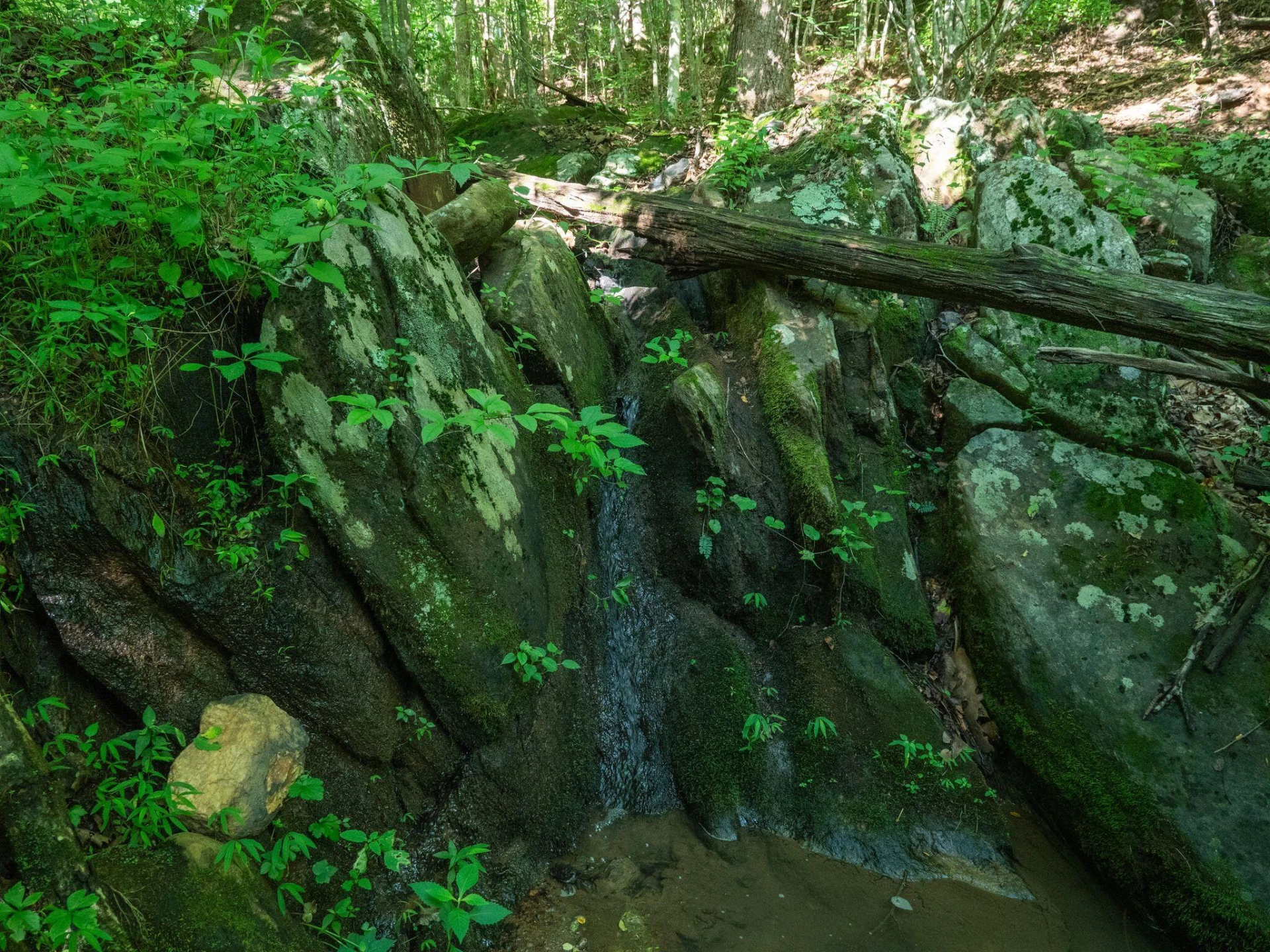 2354 Three Oaks RD - Photo 4