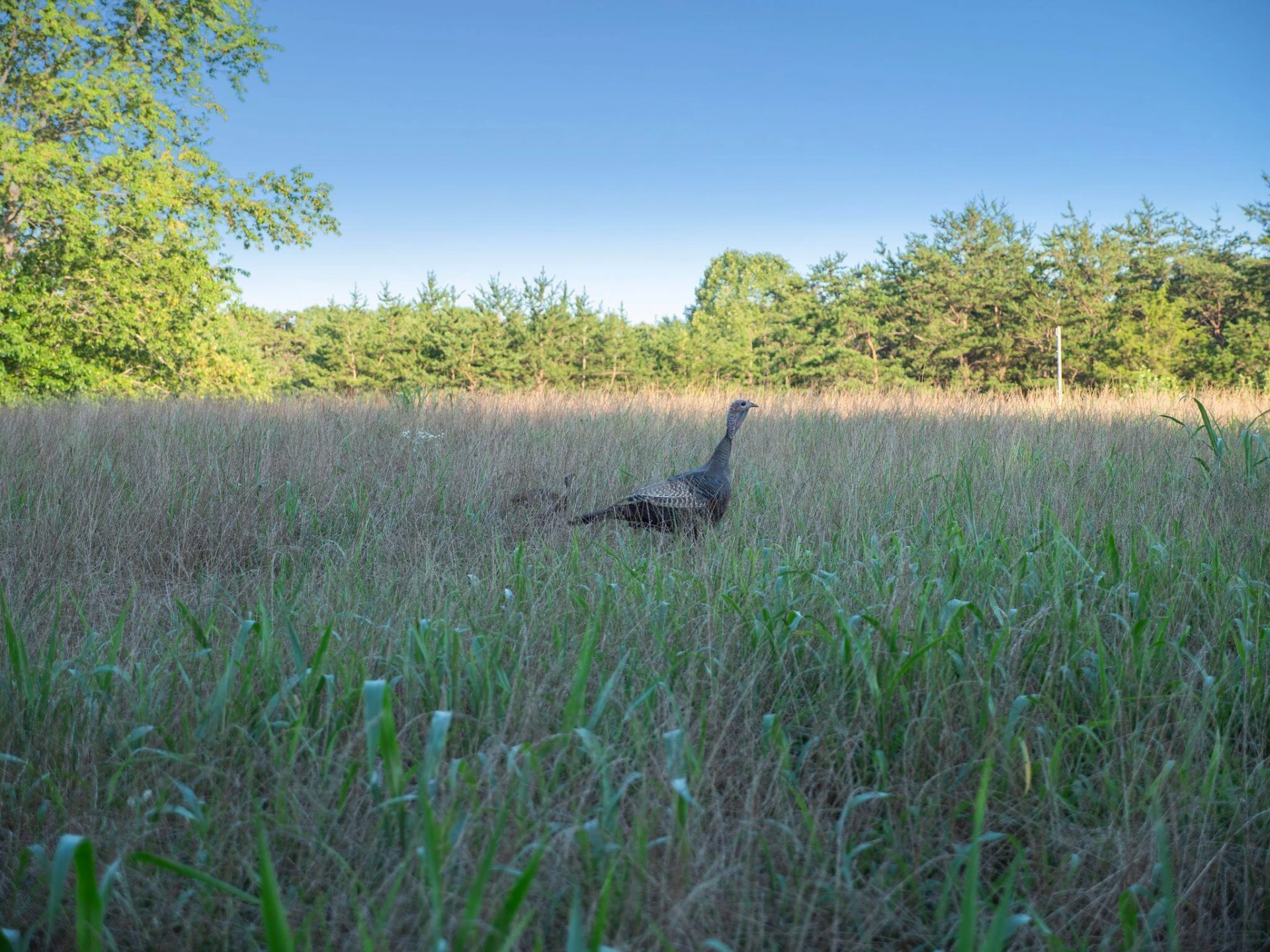 2354 Three Oaks RD - Photo 8