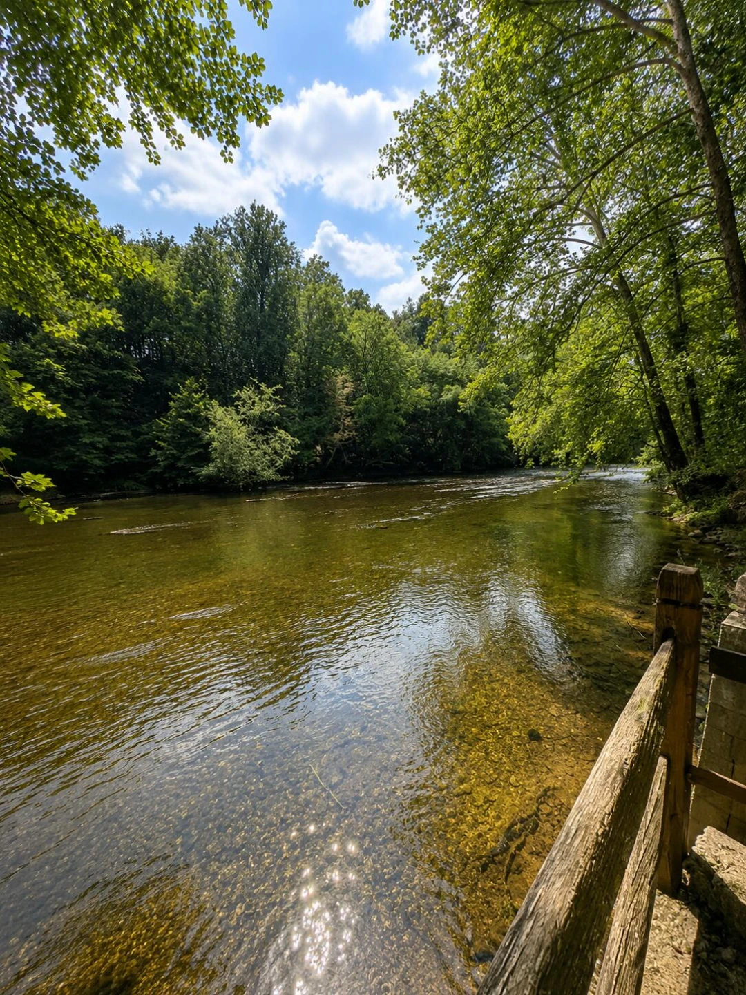 248 S River RD - Photo 5