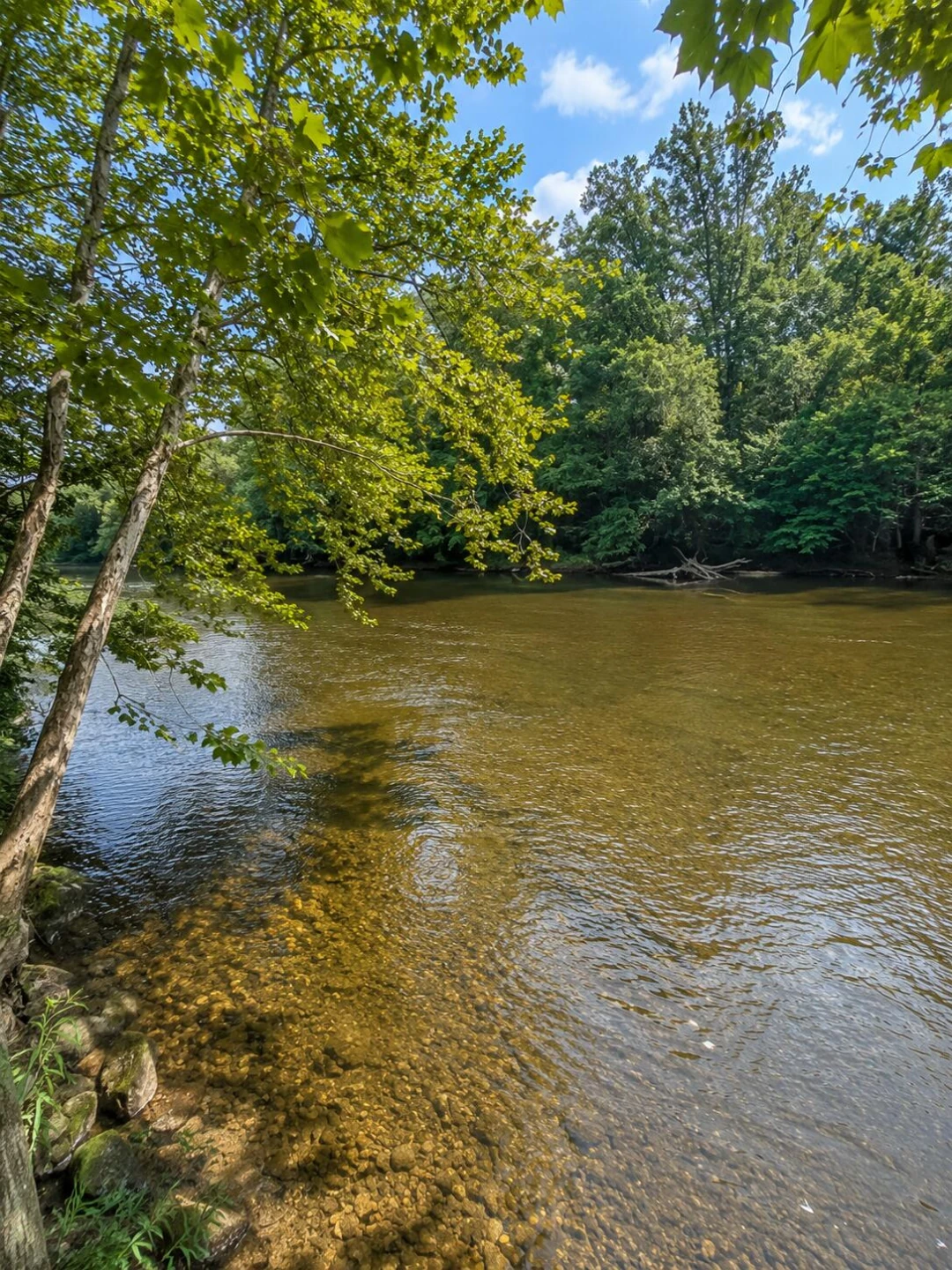 248 S River RD - Photo 7
