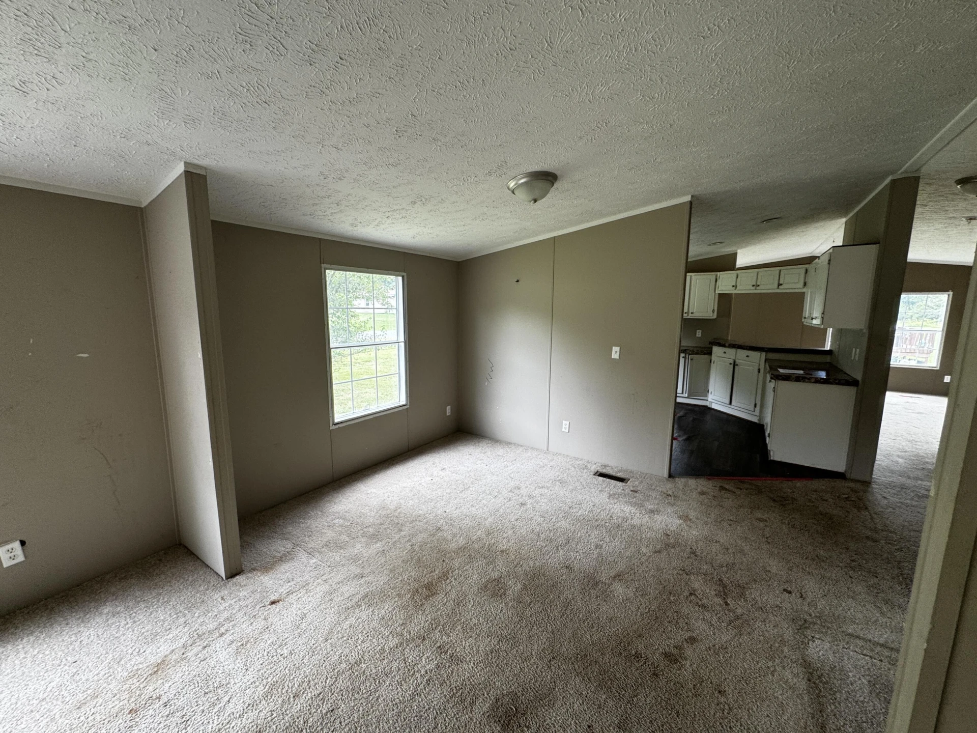 419 Pocahontas ST - Photo 8