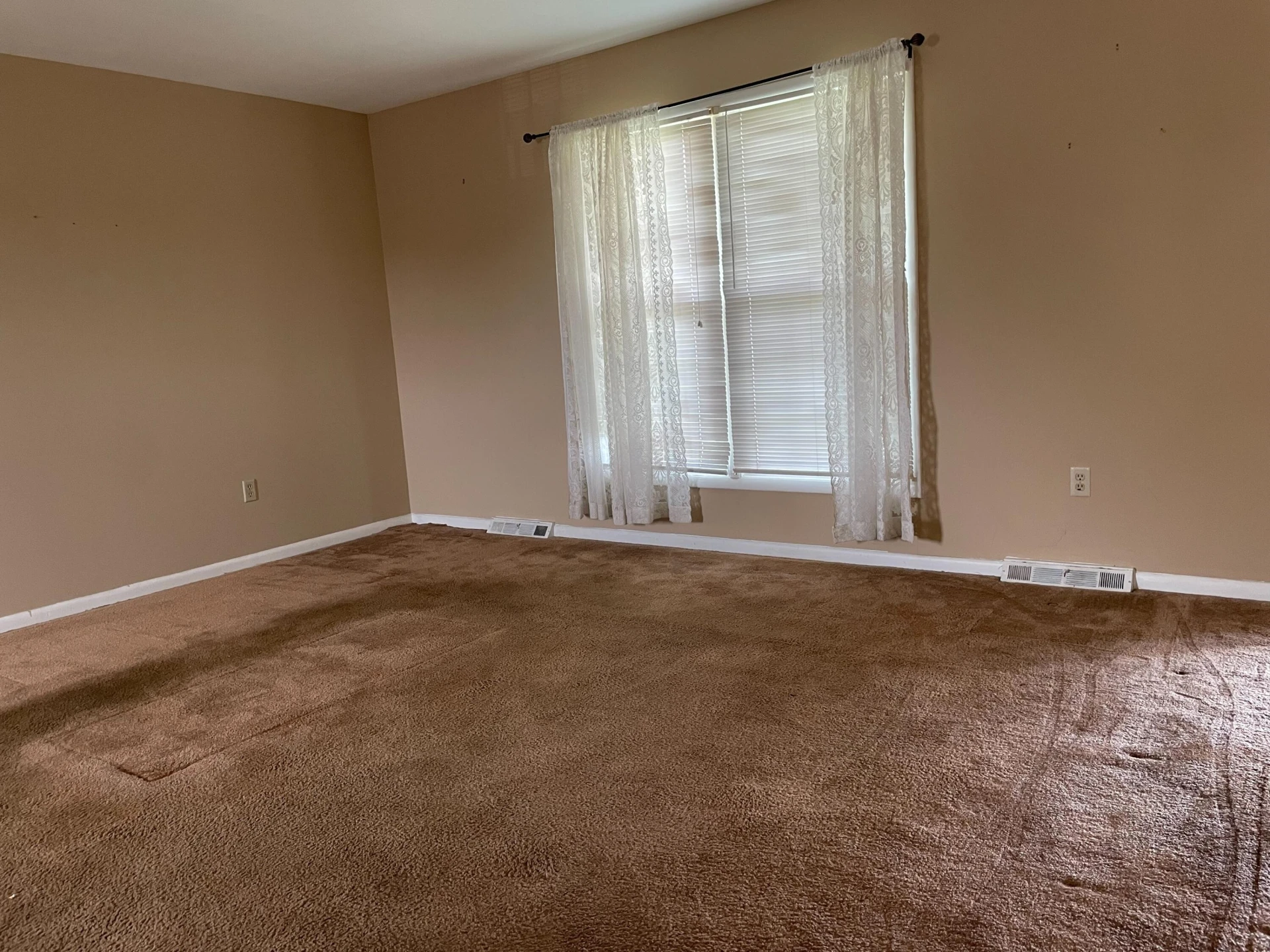 2200 Irish CIR - Photo 5