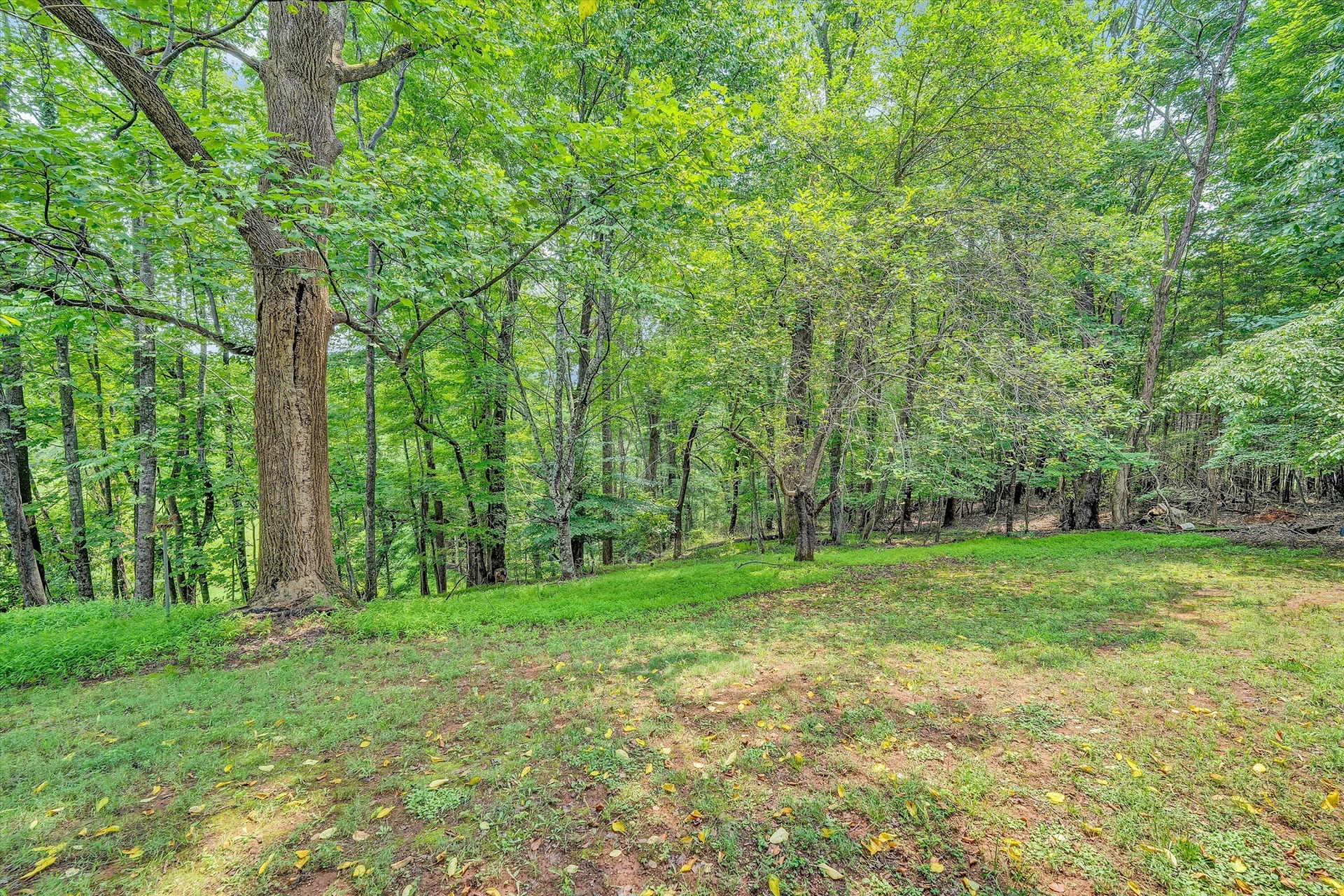 63 Archway RD - Photo 35