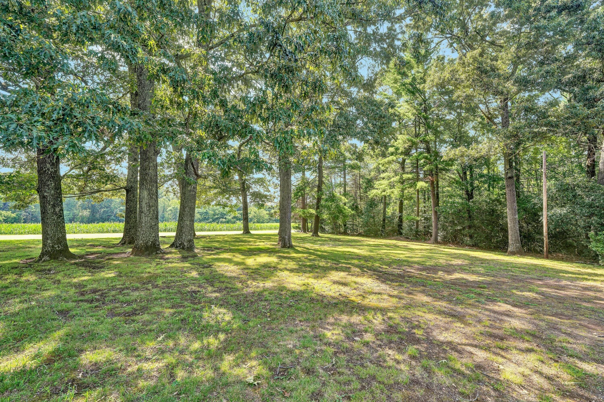 6258 Grassy Hill RD - Photo 26