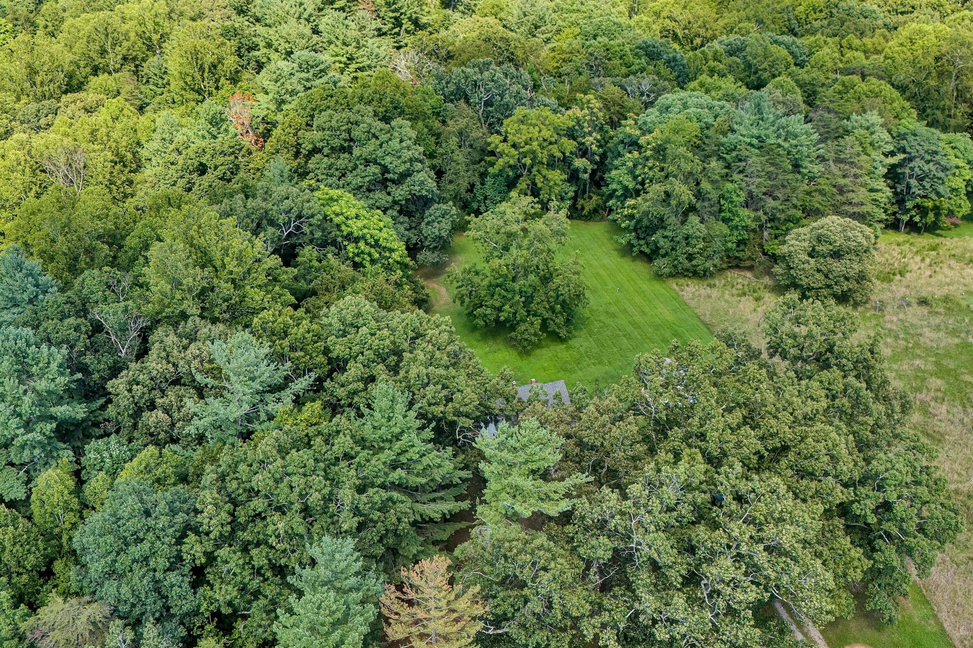 6258 Grassy Hill RD - Photo 34