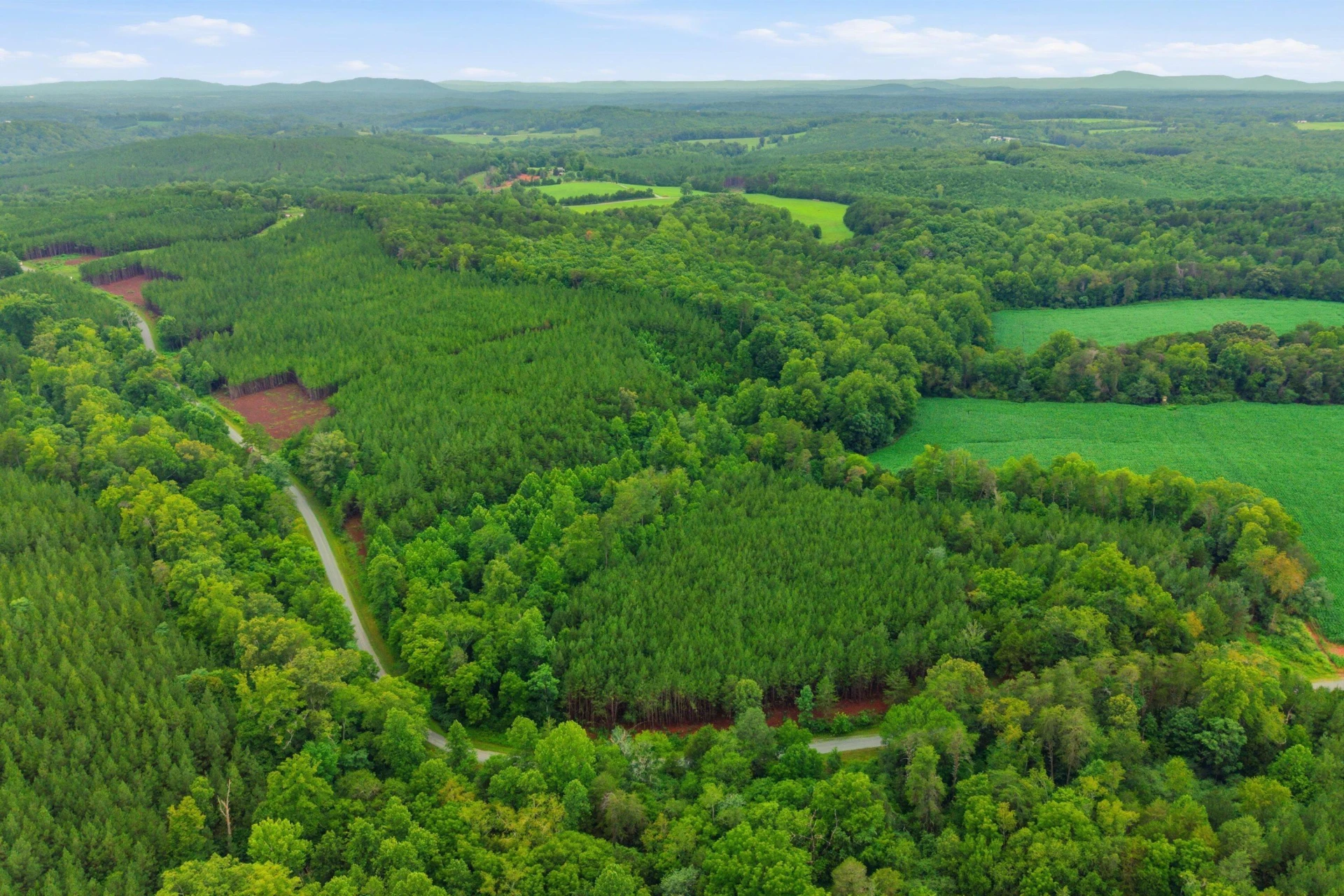Lot A1 Grassland DR - Photo 17