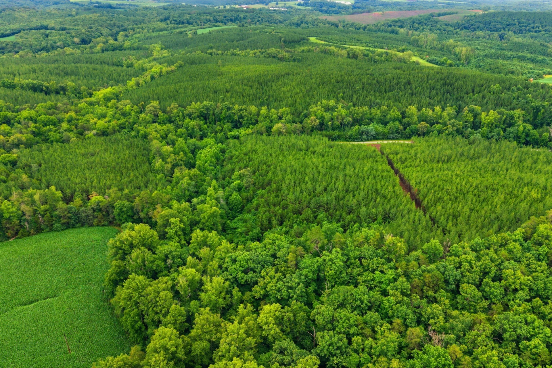 Lot A3 Grassland DR - Photo 13