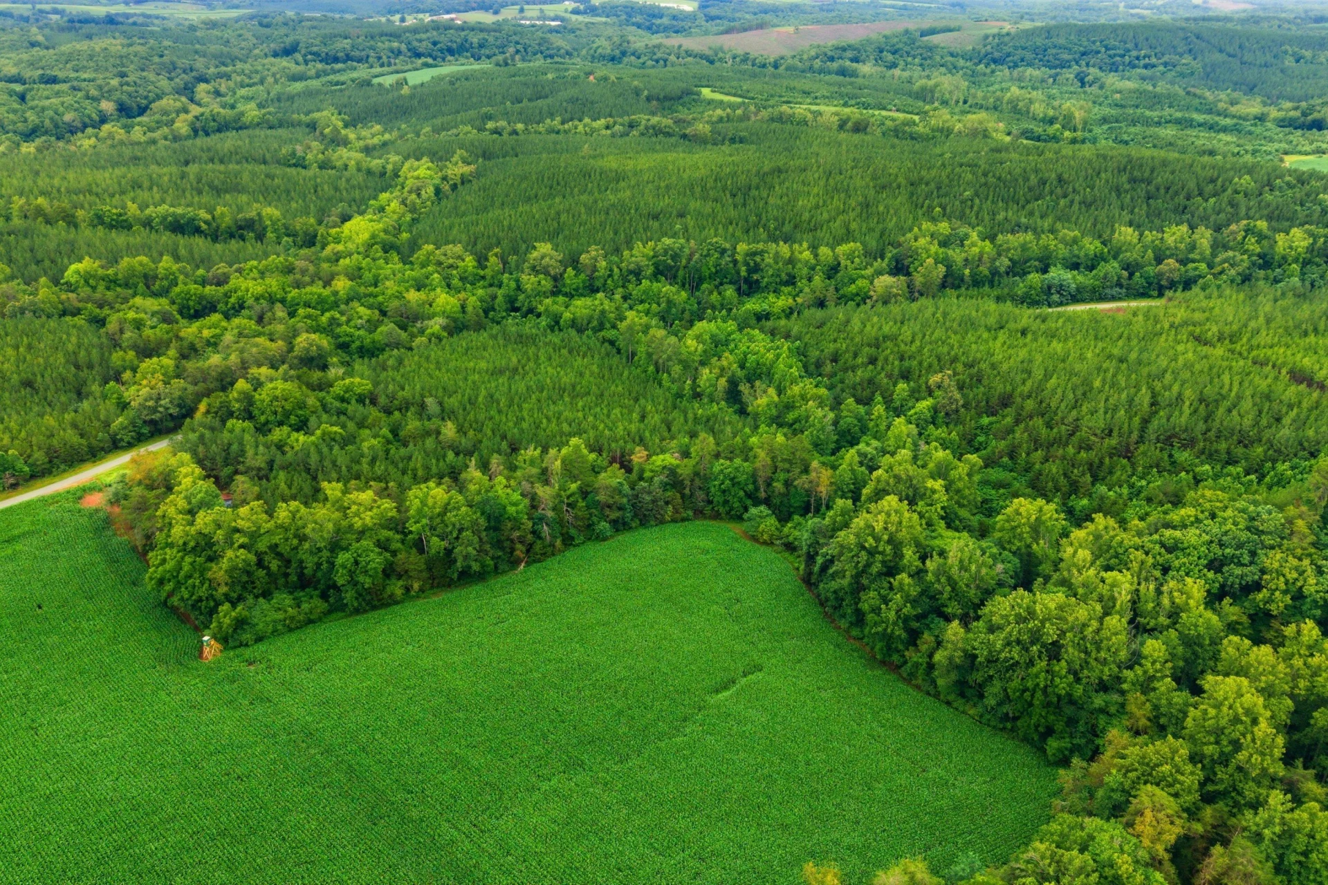 Lot A3 Grassland DR - Photo 15