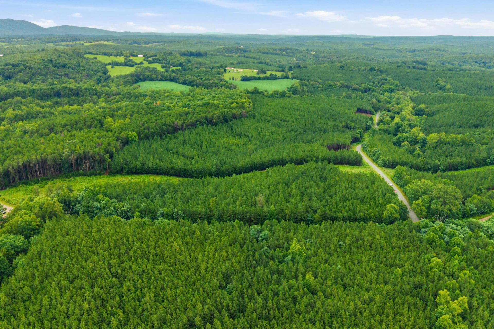 Lot A4 Grassland DR - Photo 3