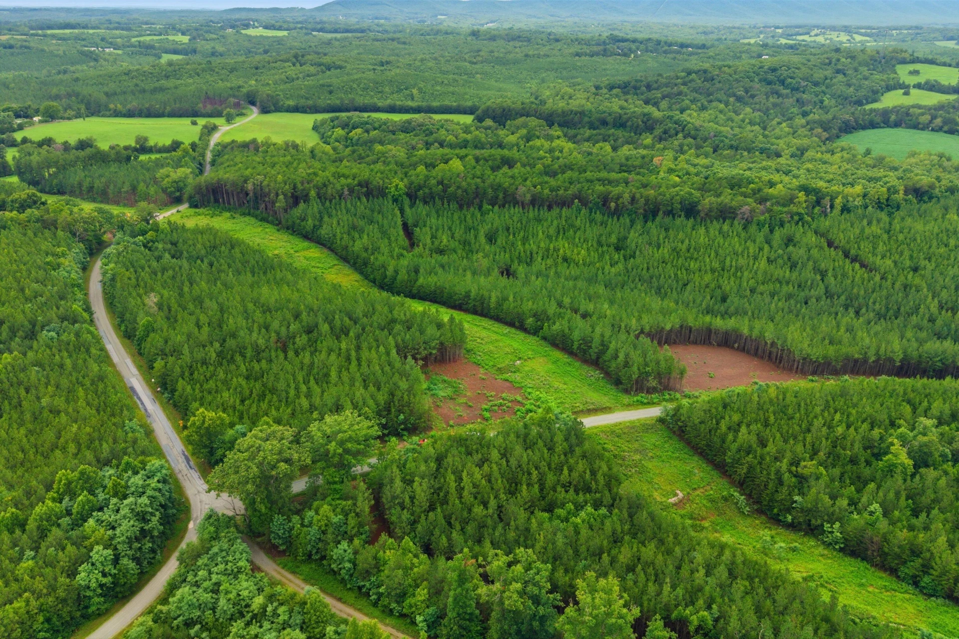 Lot A4 Grassland DR - Photo 20