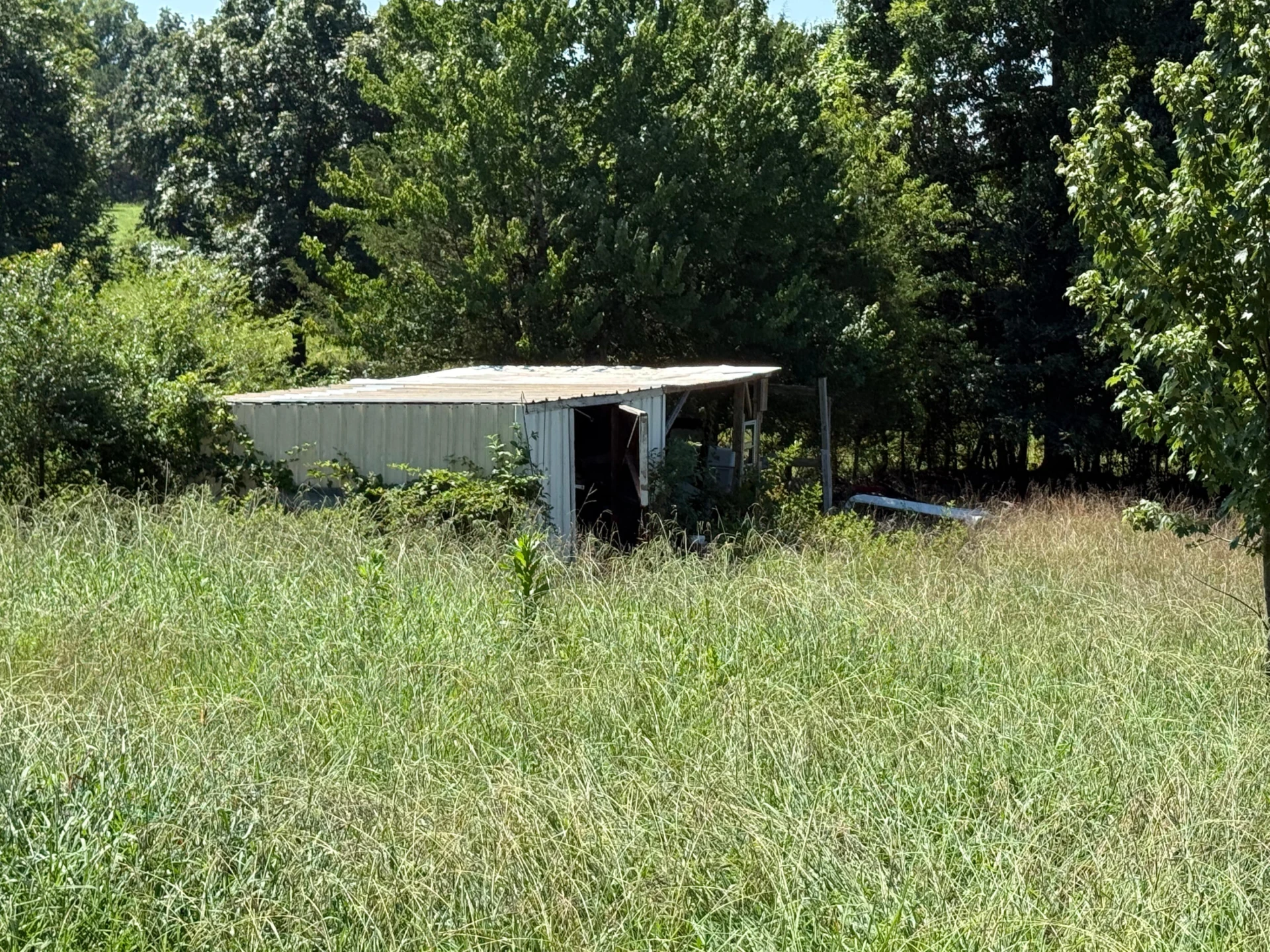 1801 Centerville RD - Photo 12