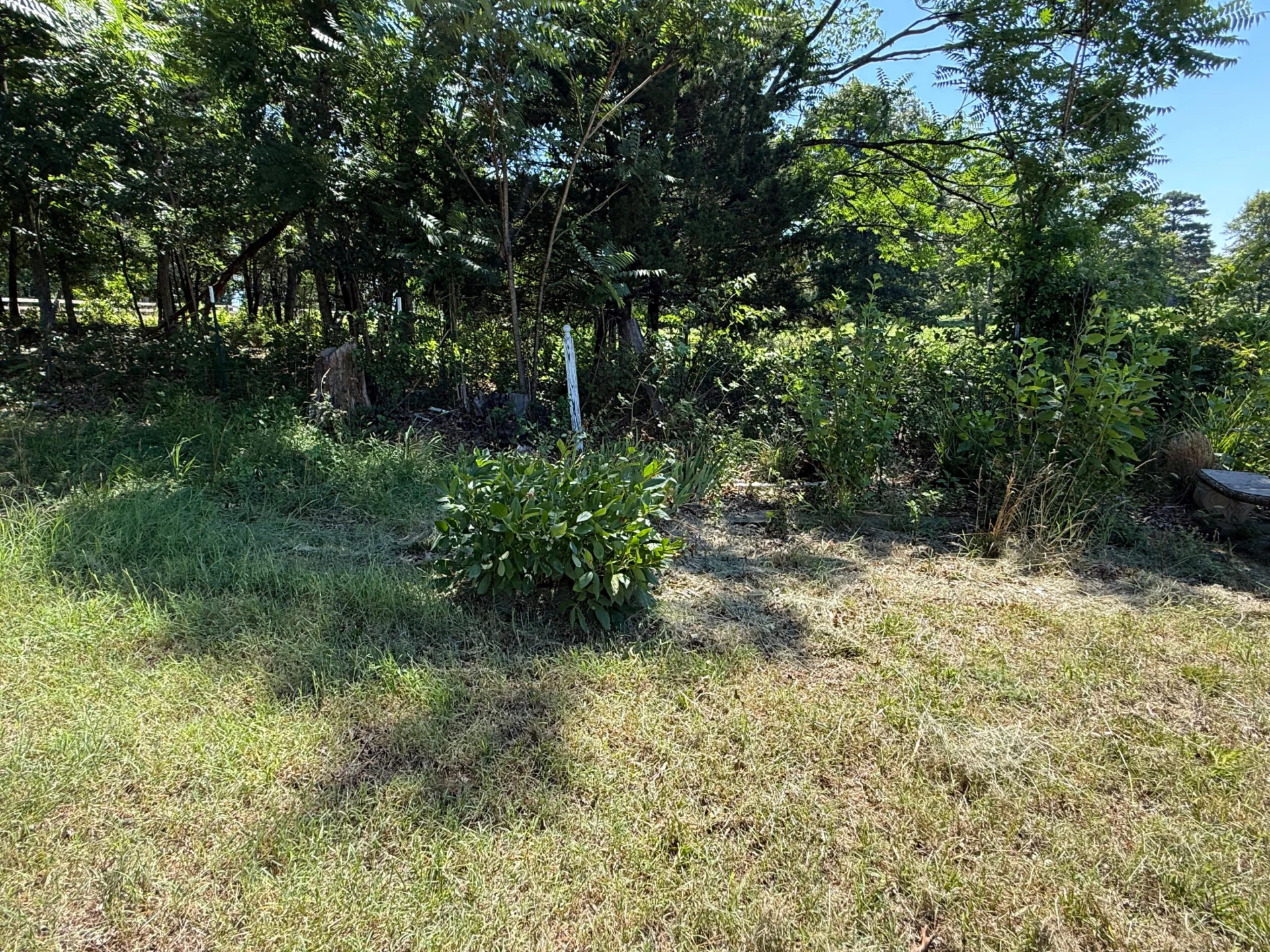 1801 Centerville RD - Photo 14