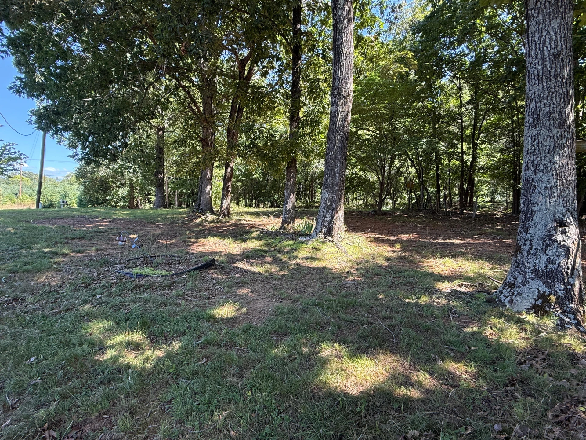 1801 Centerville RD - Photo 17